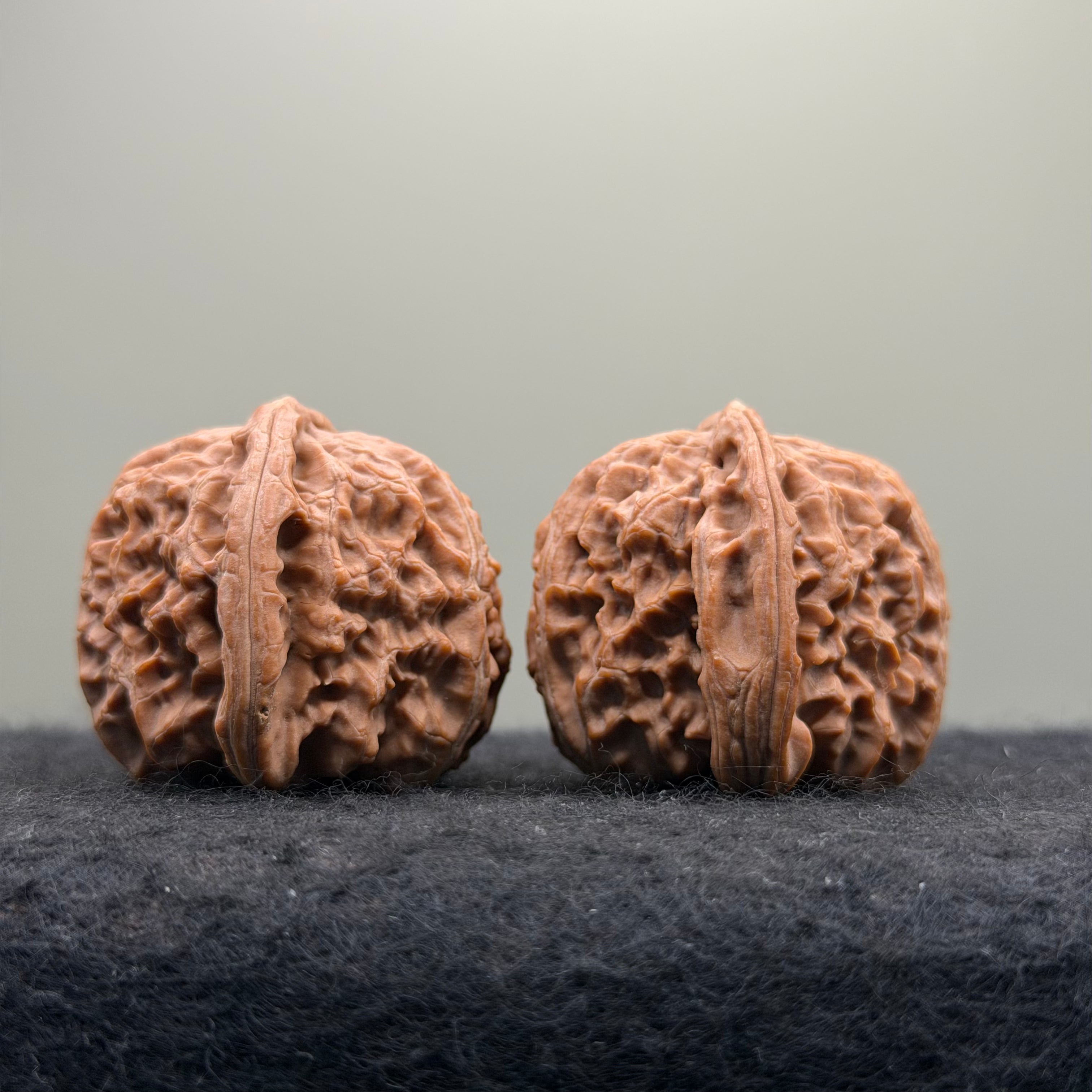 White Lion Wenwan Walnut · 38mm · Natural · Entry Ritual