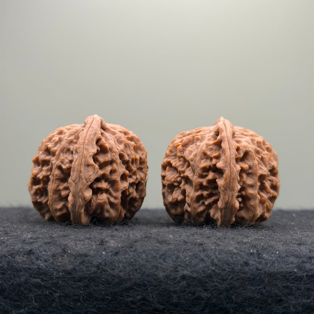 White Lion Wenwan Walnut · 38mm · Natural · Entry Ritual