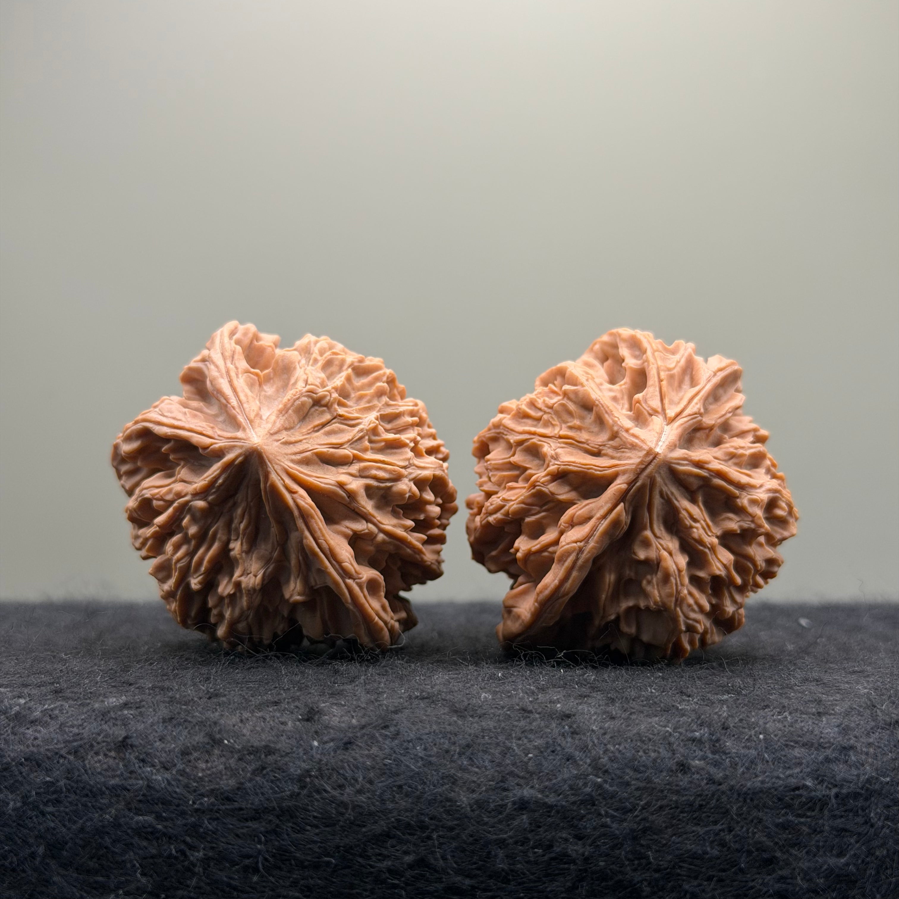 Three-Rib （Y shape) Wenwan Walnut · 43mm · Natural · Entry Ritual