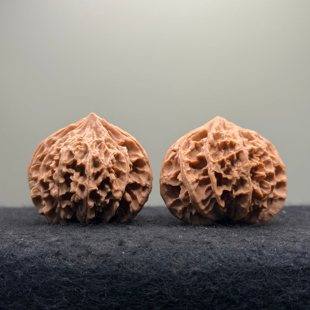 Three-Rib （Y shape) Wenwan Walnut · 43mm · Natural · Entry Ritual