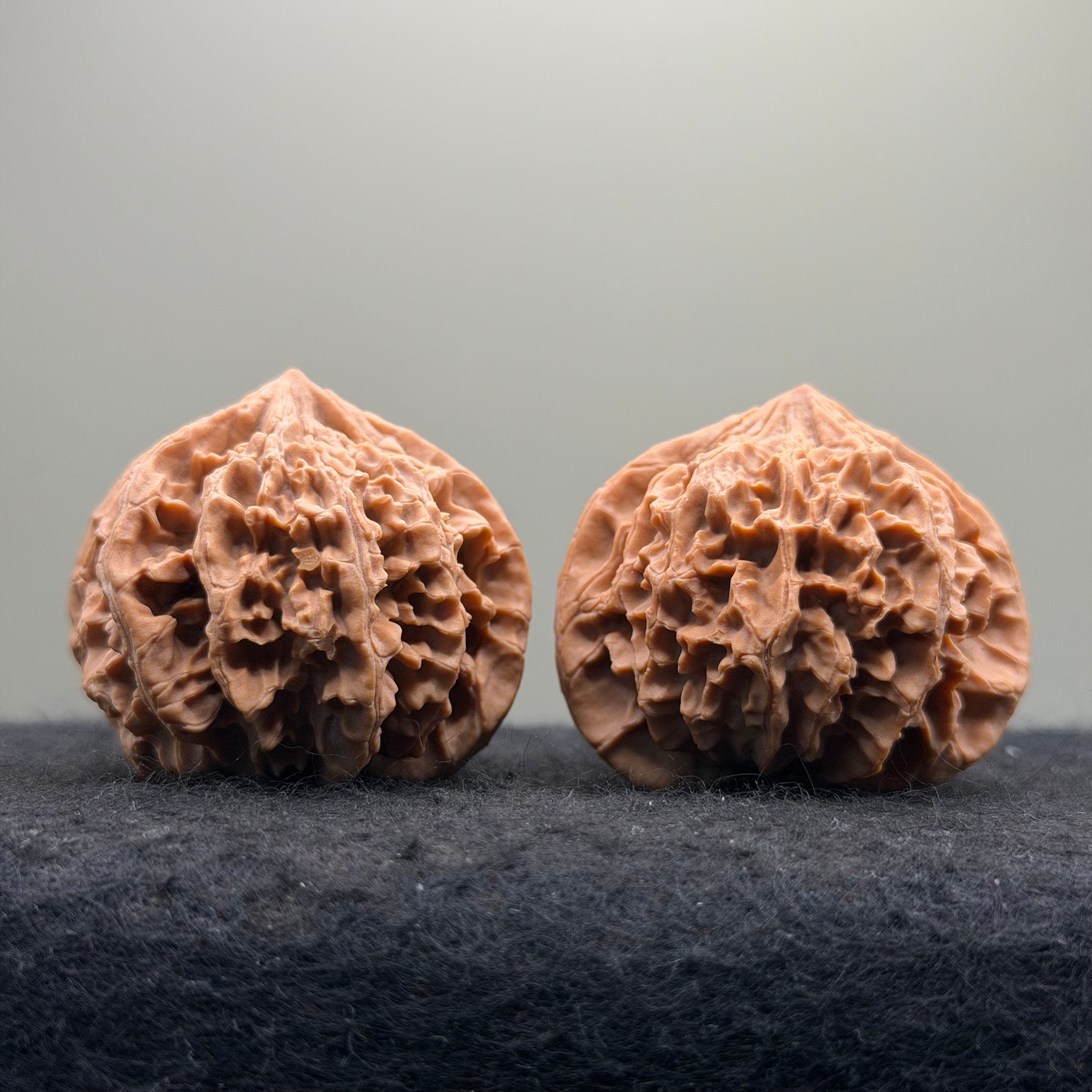 Three-Rib （Y shape) Wenwan Walnut · 43mm · Natural · Entry Ritual