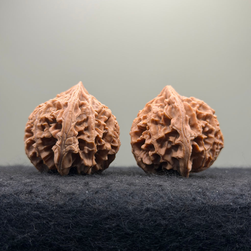 Three-Rib （Y shape) Wenwan Walnut · 43mm · Natural · Entry Ritual