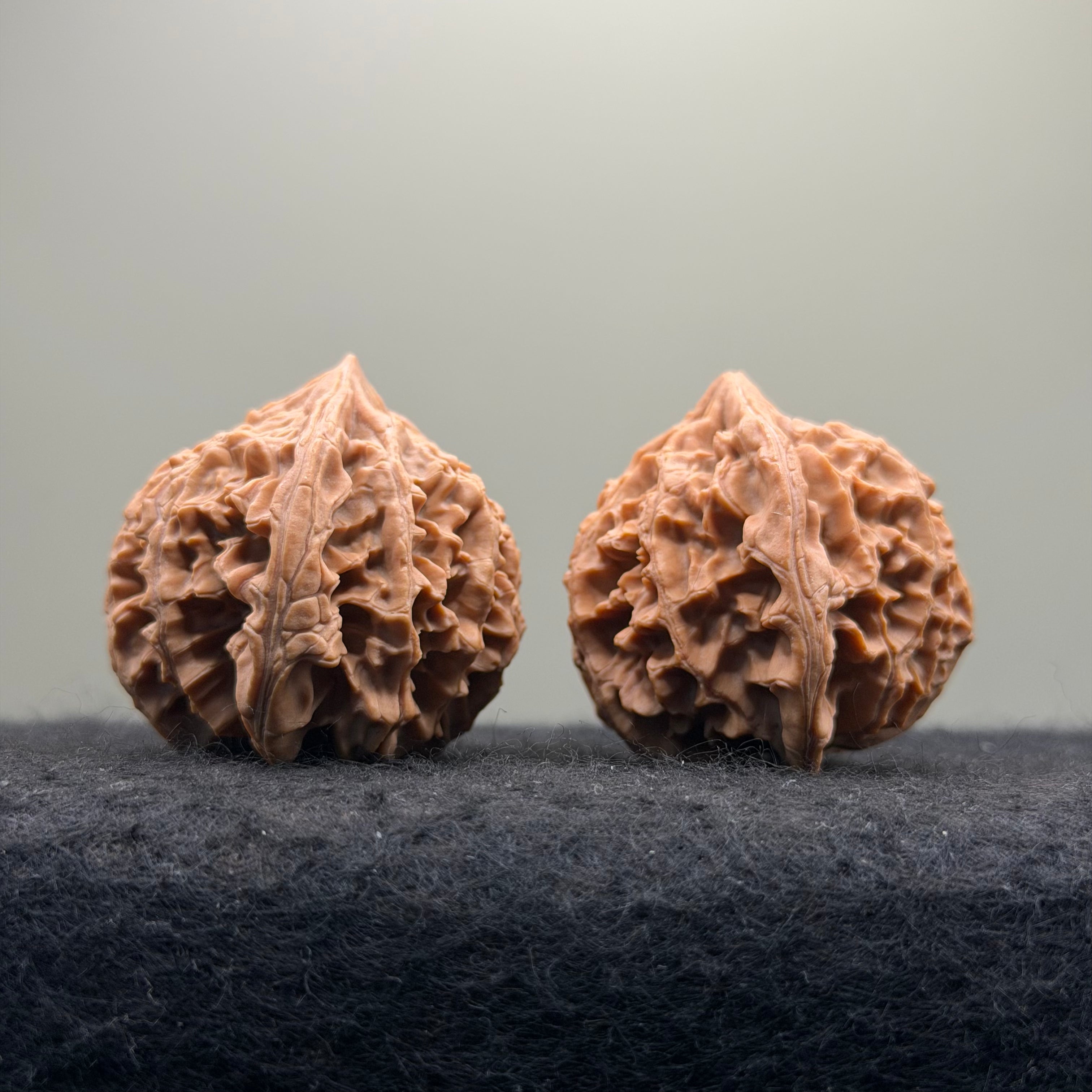Three-Rib （Y shape) Wenwan Walnut · 43mm · Natural · Entry Ritual