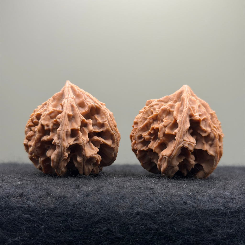 Three-Rib （Y shape) Wenwan Walnut · 43mm · Natural · Entry Ritual