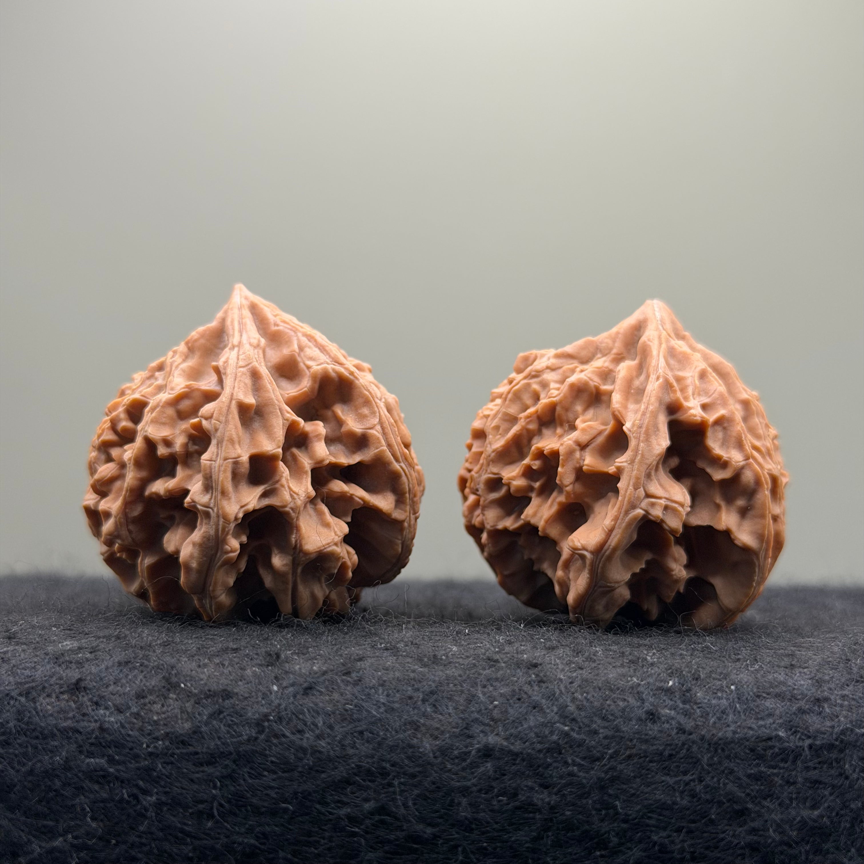 Three-Rib （Y shape) Wenwan Walnut · 43mm · Natural · Entry Ritual