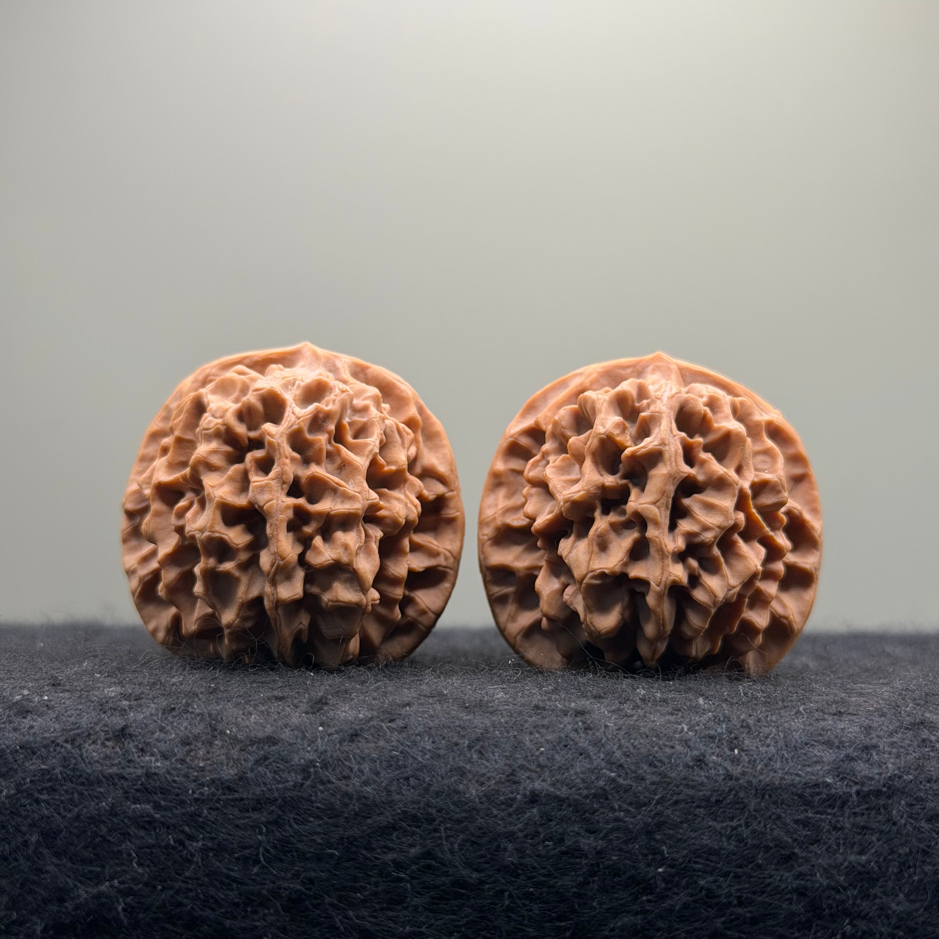 Qinmen Wenwan Walnut · 39mm · Select Ritual