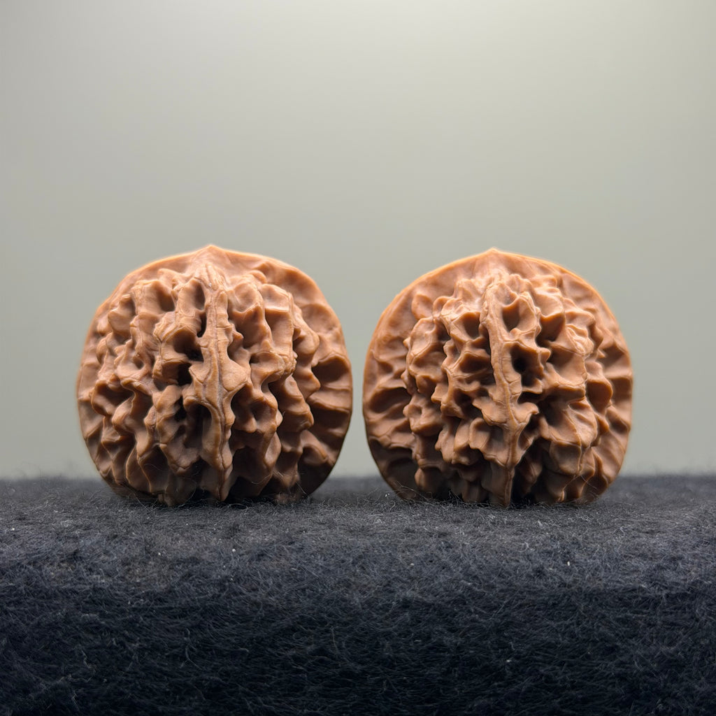 Qinmen Wenwan Walnut · 39mm · Select Ritual