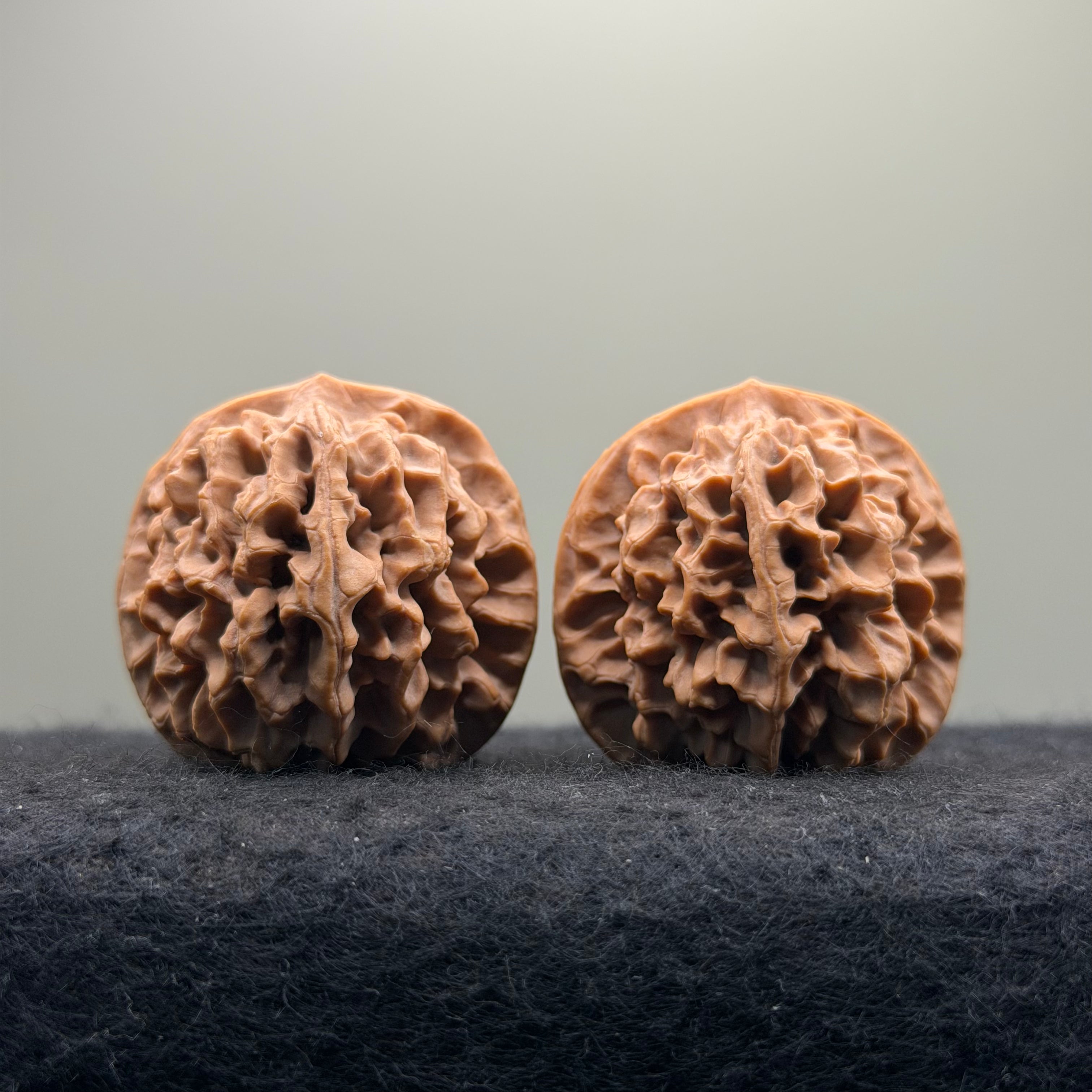 Qinmen Wenwan Walnut · 39mm · Select Ritual