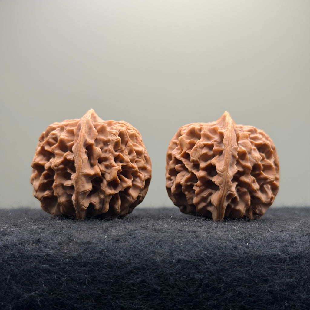 Qinmen Wenwan Walnut · 39mm · Select Ritual