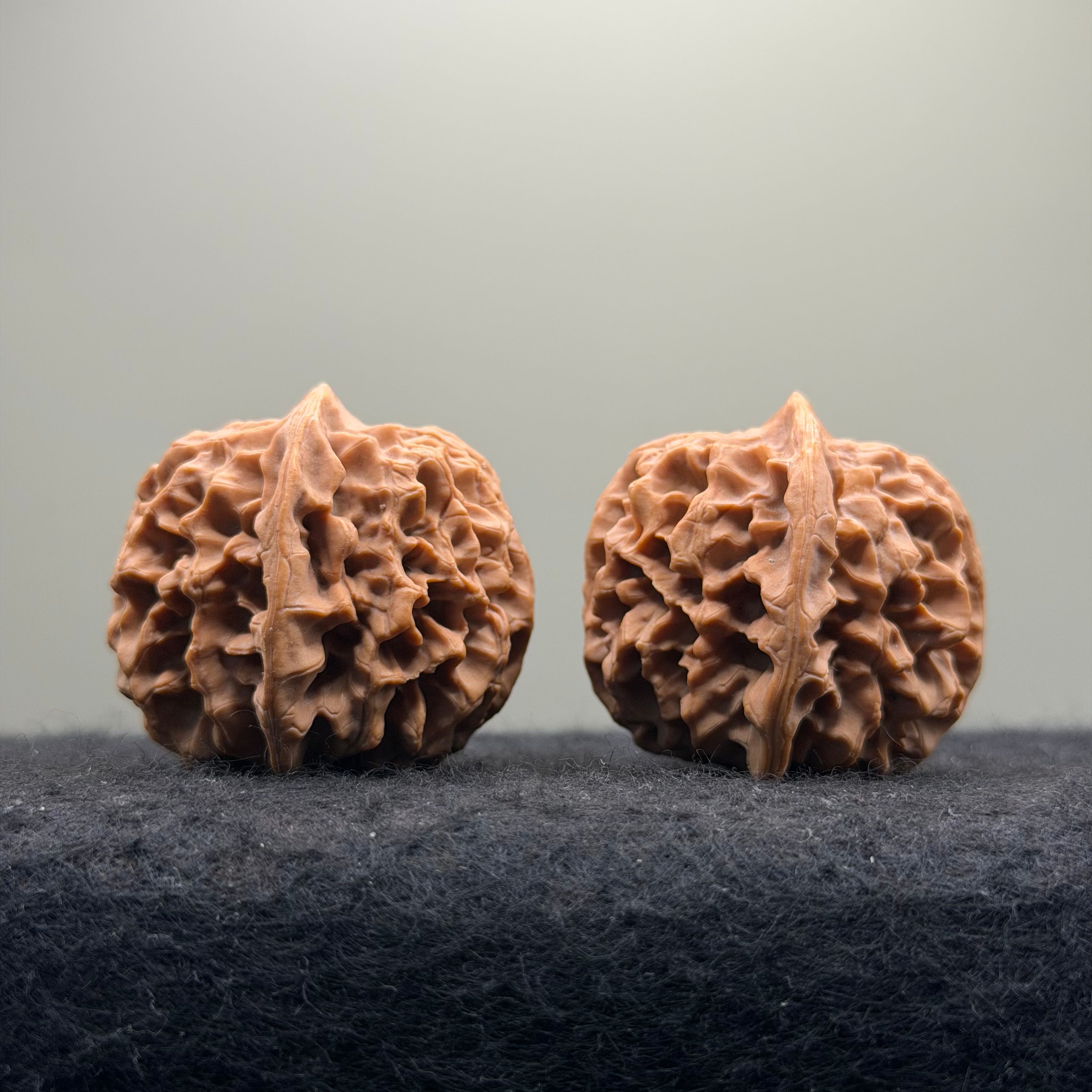 Qinmen Wenwan Walnut · 39mm · Select Ritual