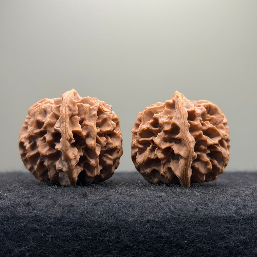 Qinmen Wenwan Walnut · 39mm · Select Ritual