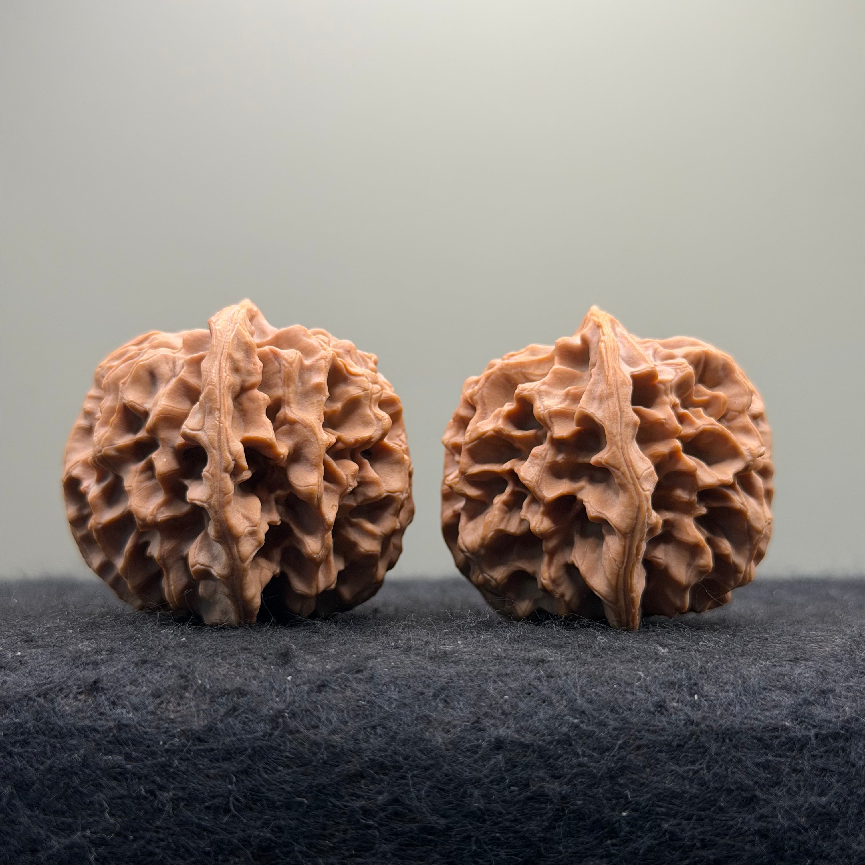 Qinmen Wenwan Walnut · 39mm · Select Ritual