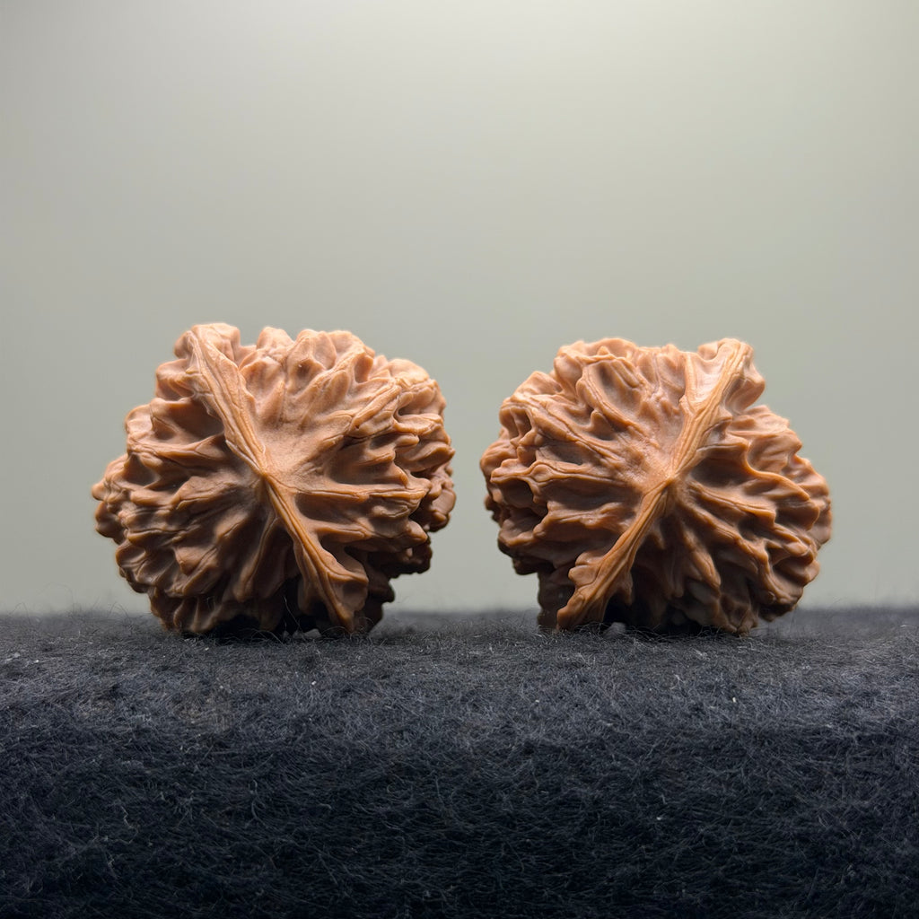 Qinmen Wenwan Walnut · 39mm · Select Ritual