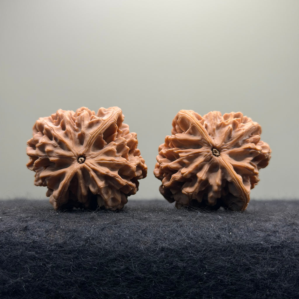 Qinmen Wenwan Walnut · 39mm · Select Ritual