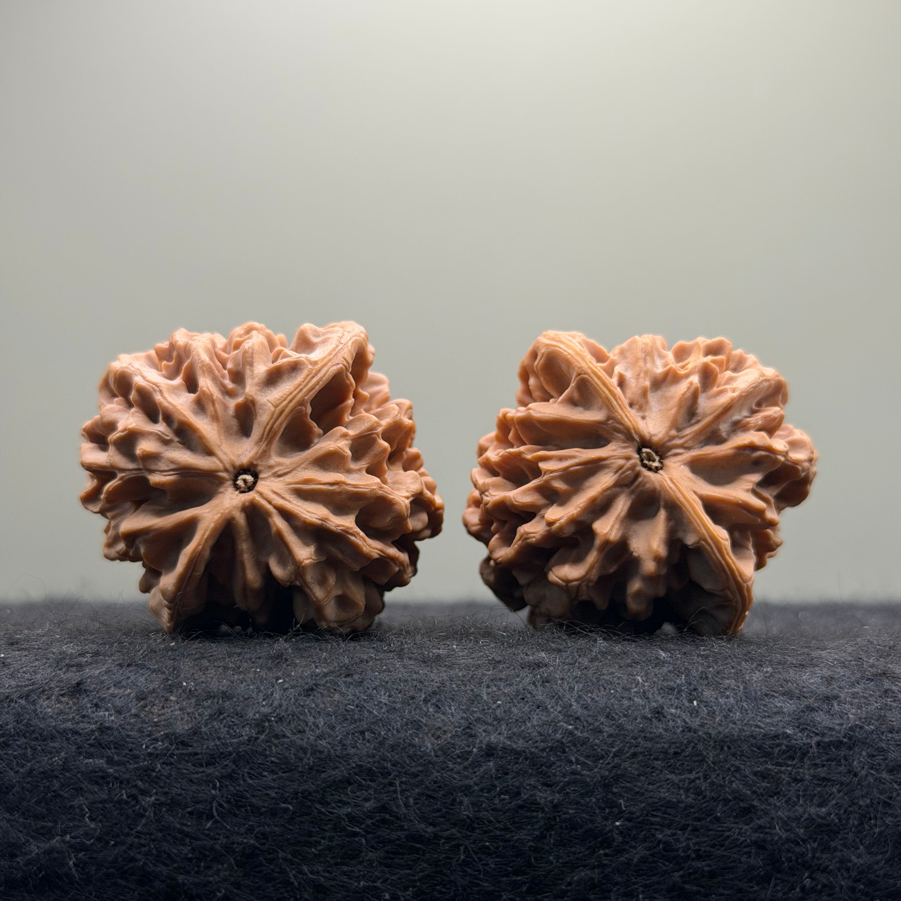 Qinmen Wenwan Walnut · 39mm · Select Ritual