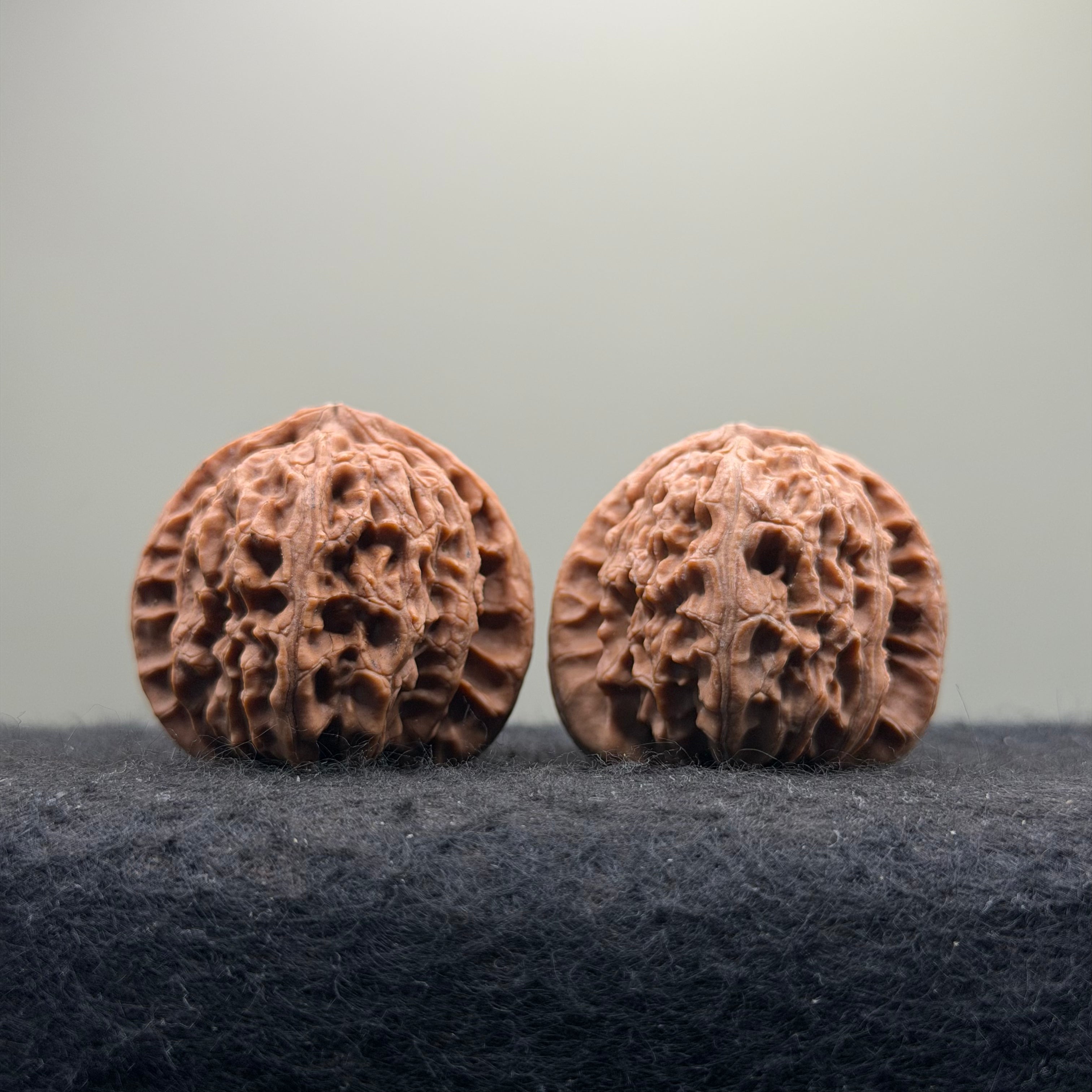 White Lion Wenwan Walnut · 38mm · Natural · Entry Ritual