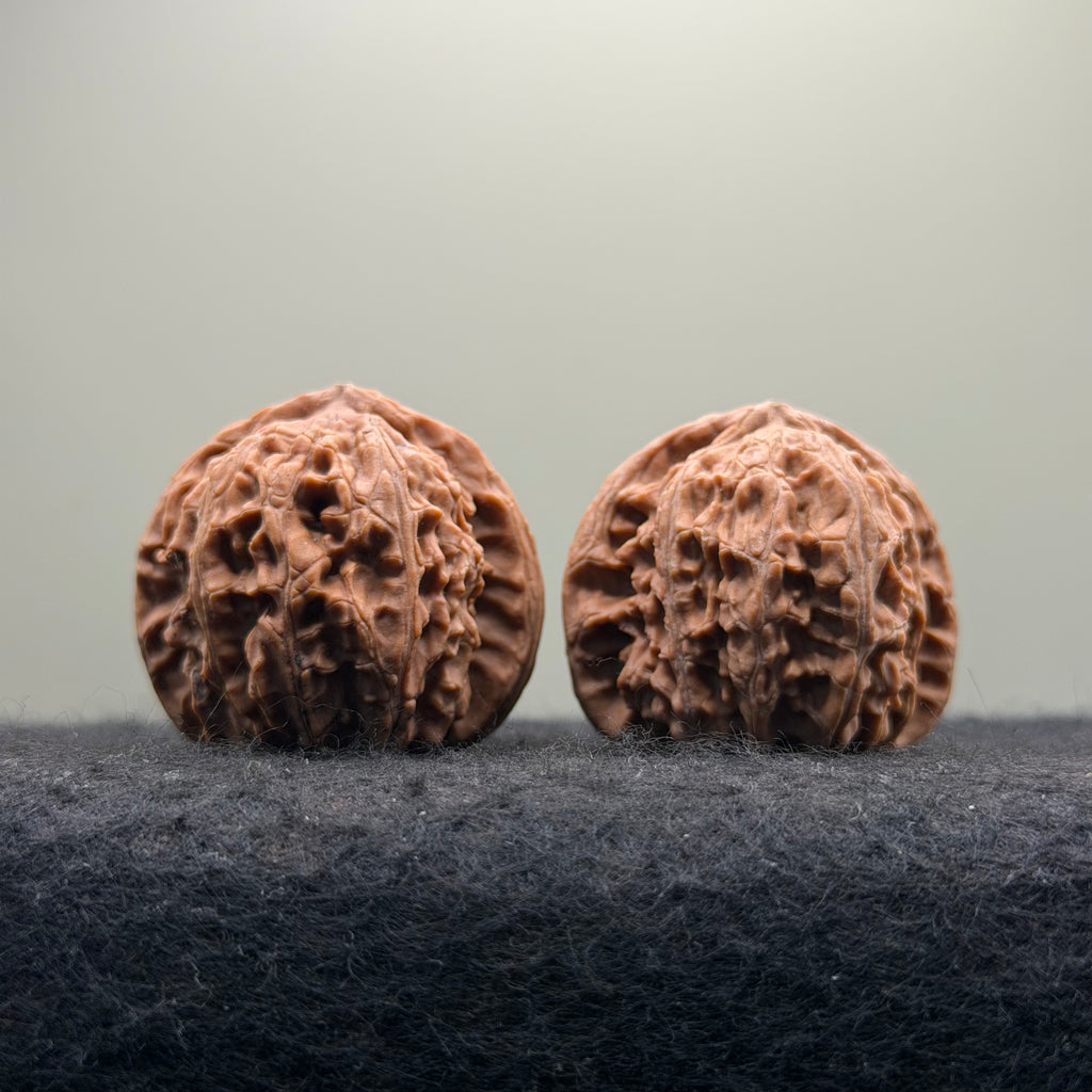 White Lion Wenwan Walnut · 38mm · Natural · Entry Ritual