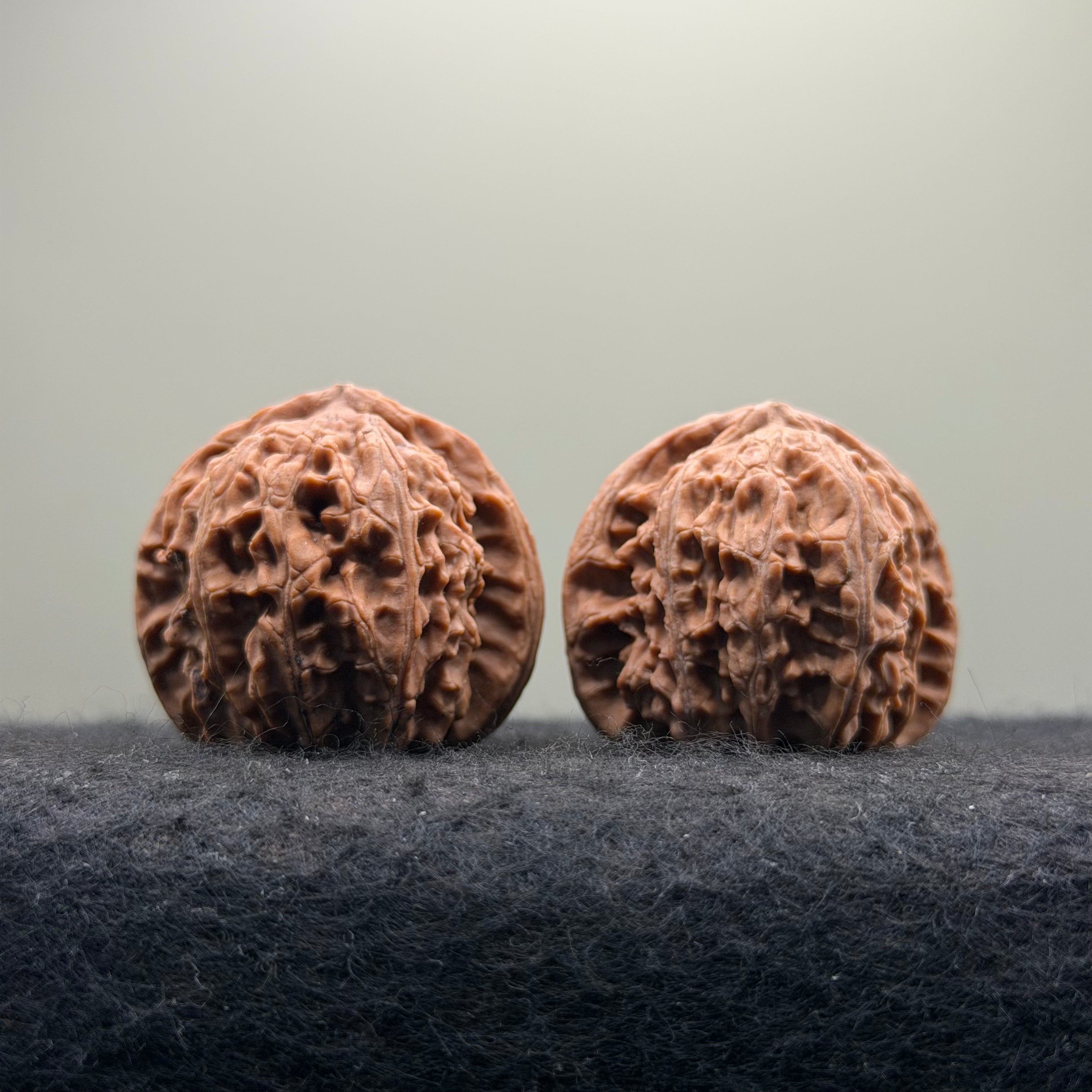 White Lion Wenwan Walnut · 38mm · Natural · Entry Ritual