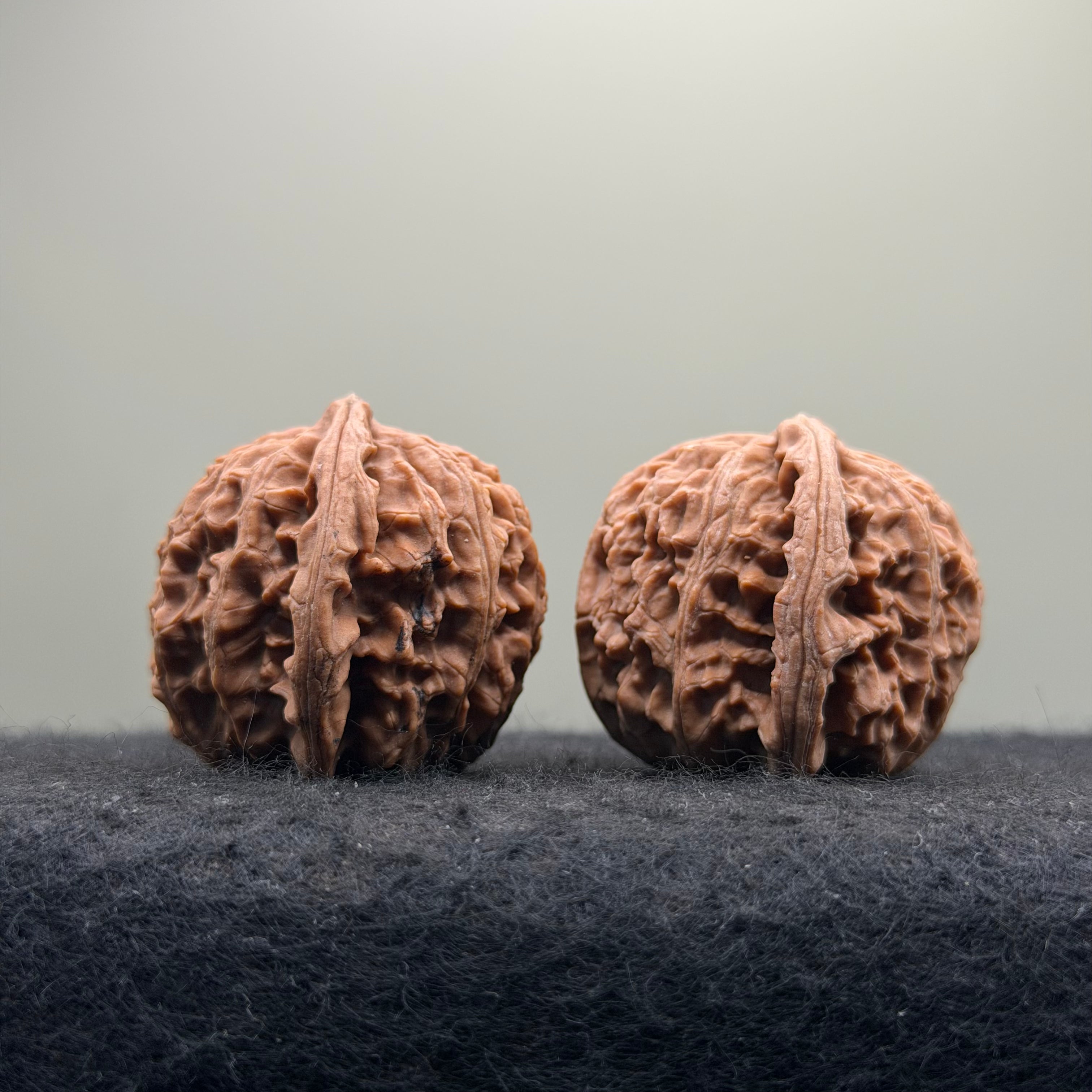 White Lion Wenwan Walnut · 38mm · Natural · Entry Ritual