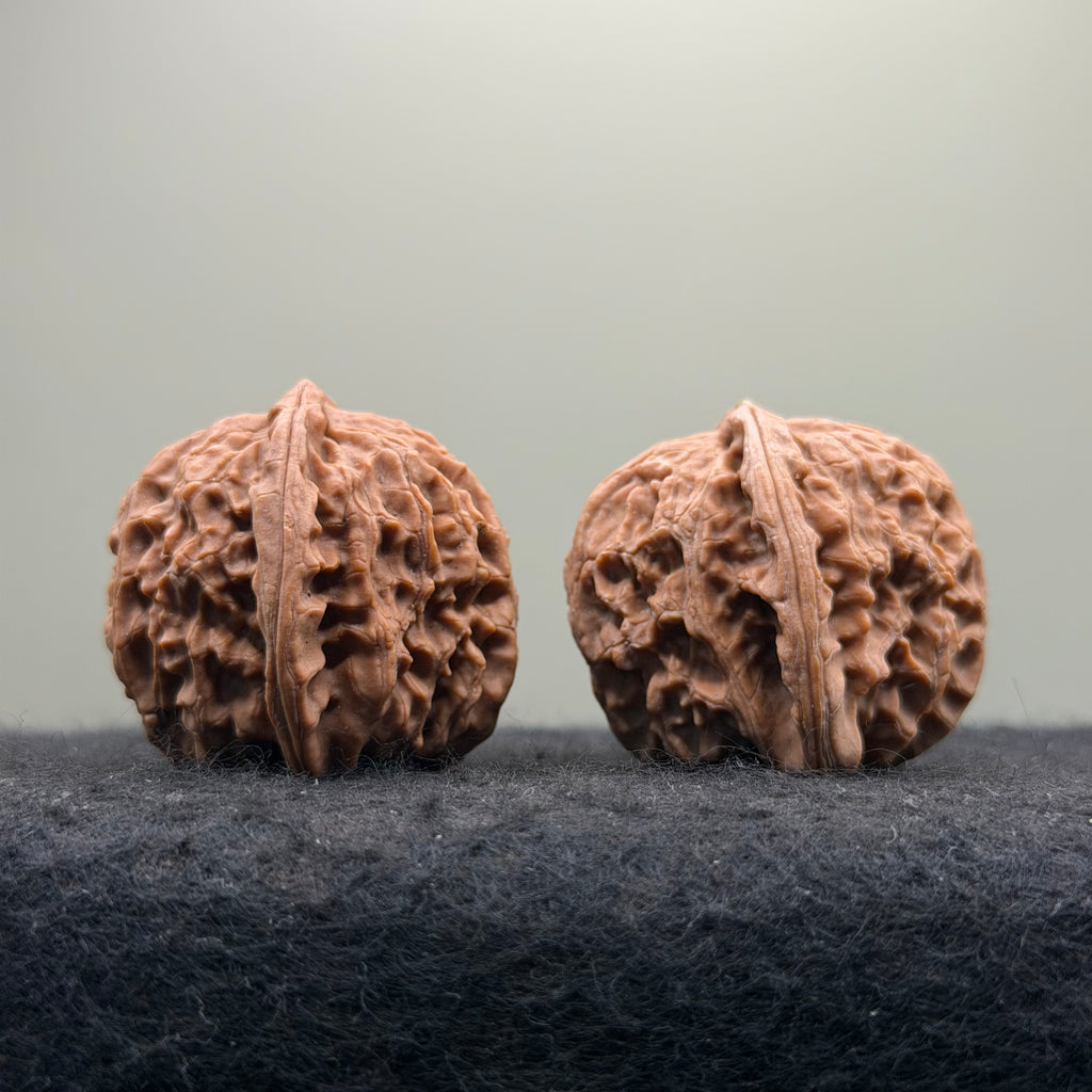 White Lion Wenwan Walnut · 38mm · Natural · Entry Ritual