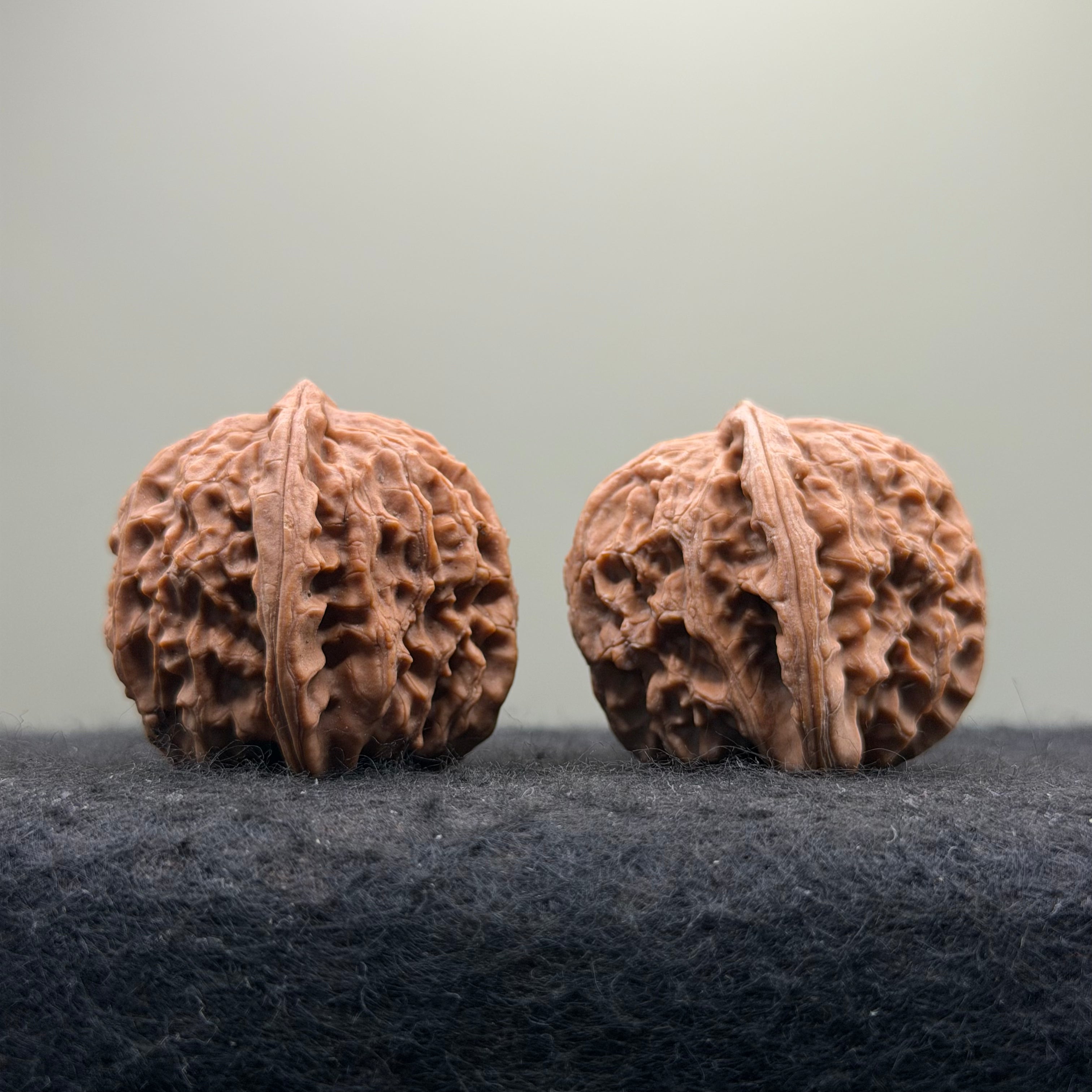 White Lion Wenwan Walnut · 38mm · Natural · Entry Ritual