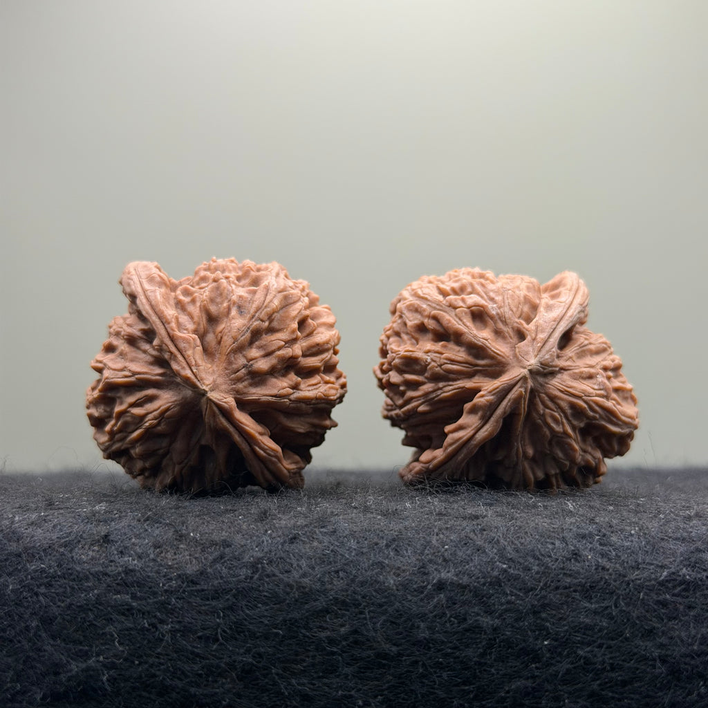 White Lion Wenwan Walnut · 38mm · Natural · Entry Ritual