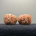 Ingot Wenwan Walnut · 37mm · Natural · Select Ritual