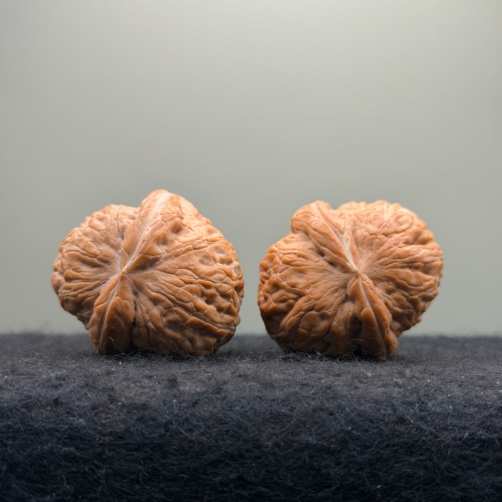 Ingot Wenwan Walnut · 37mm · Natural · Select Ritual