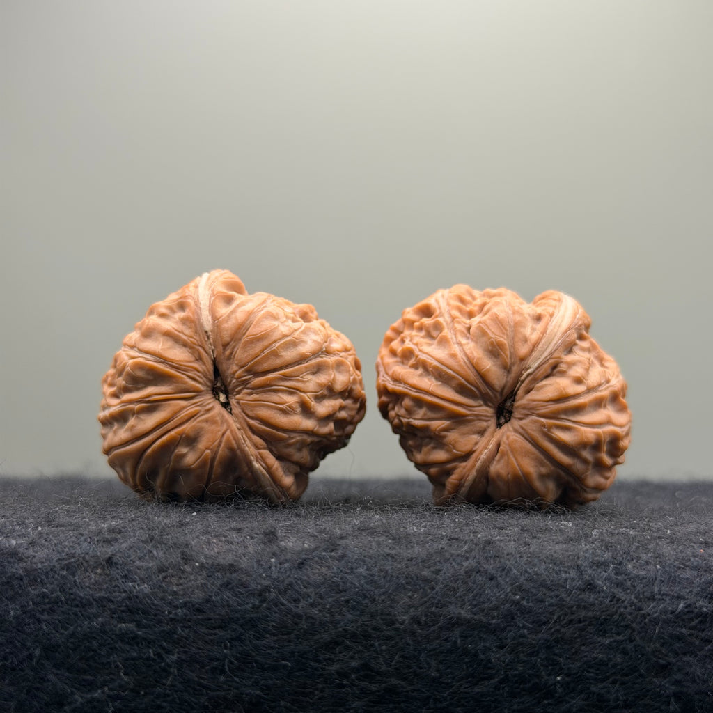 Ingot Wenwan Walnut · 37mm · Natural · Select Ritual