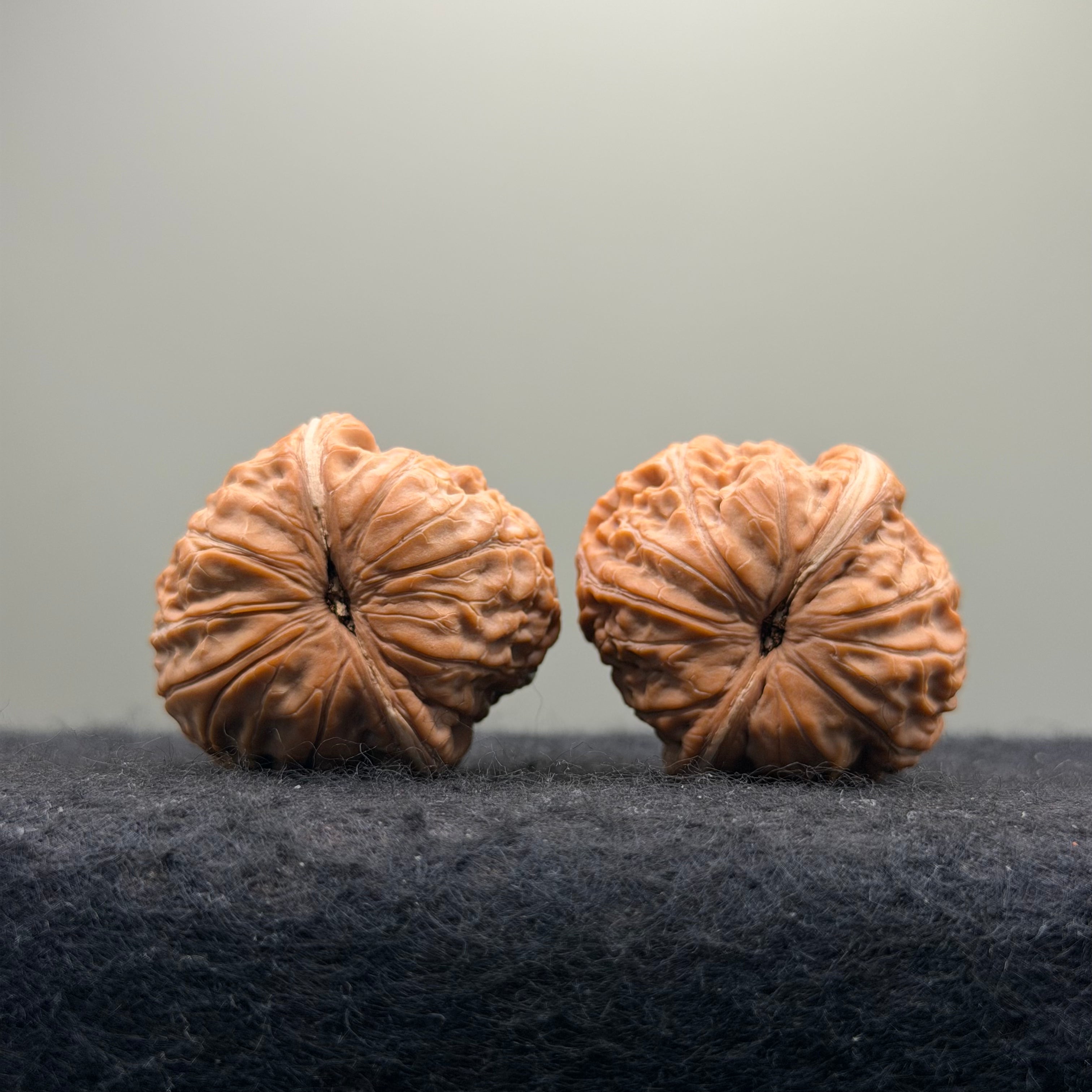 Ingot Wenwan Walnut · 37mm · Natural · Select Ritual
