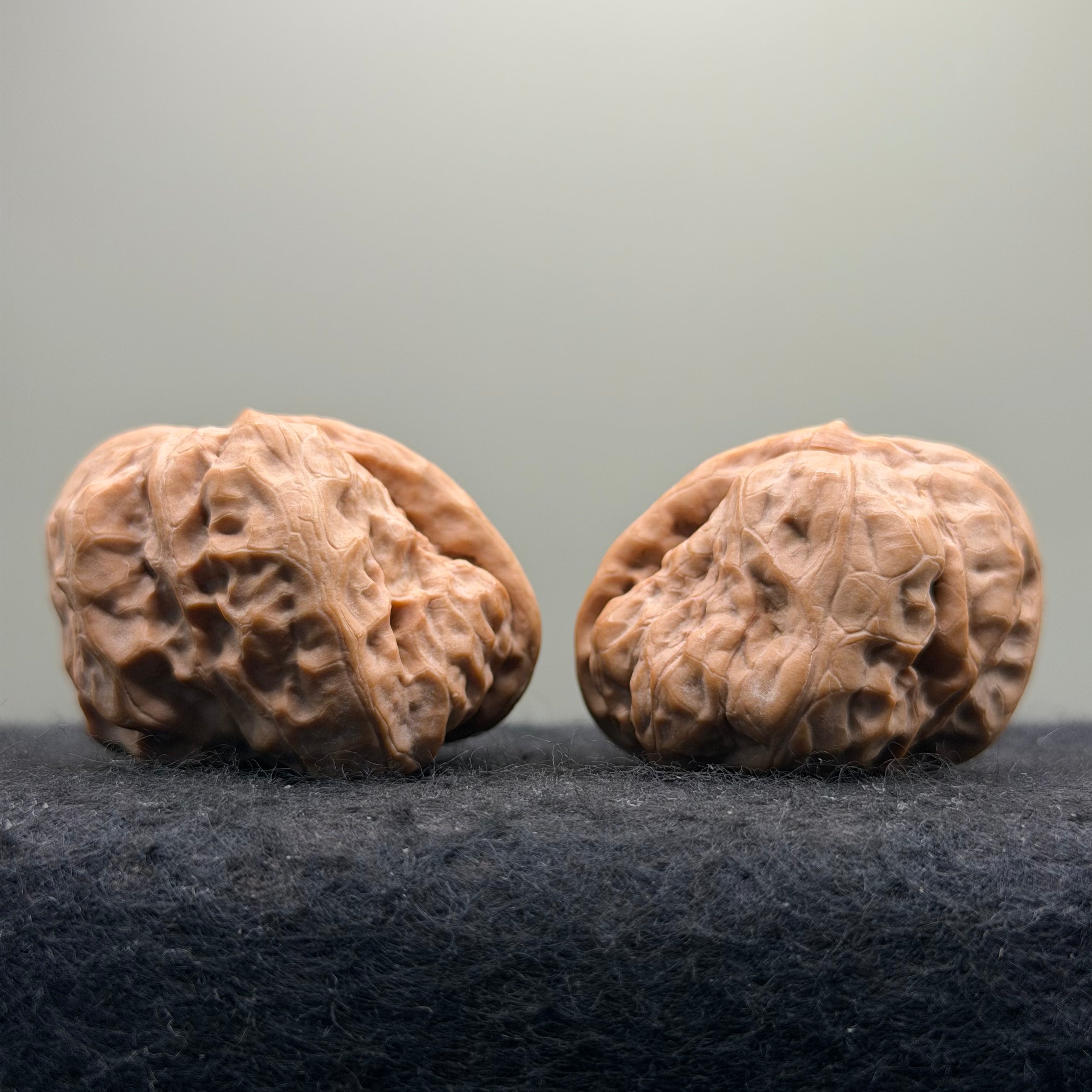 One-Rib Toad Head Wenwan Walnut · 39mm · Select Ritual