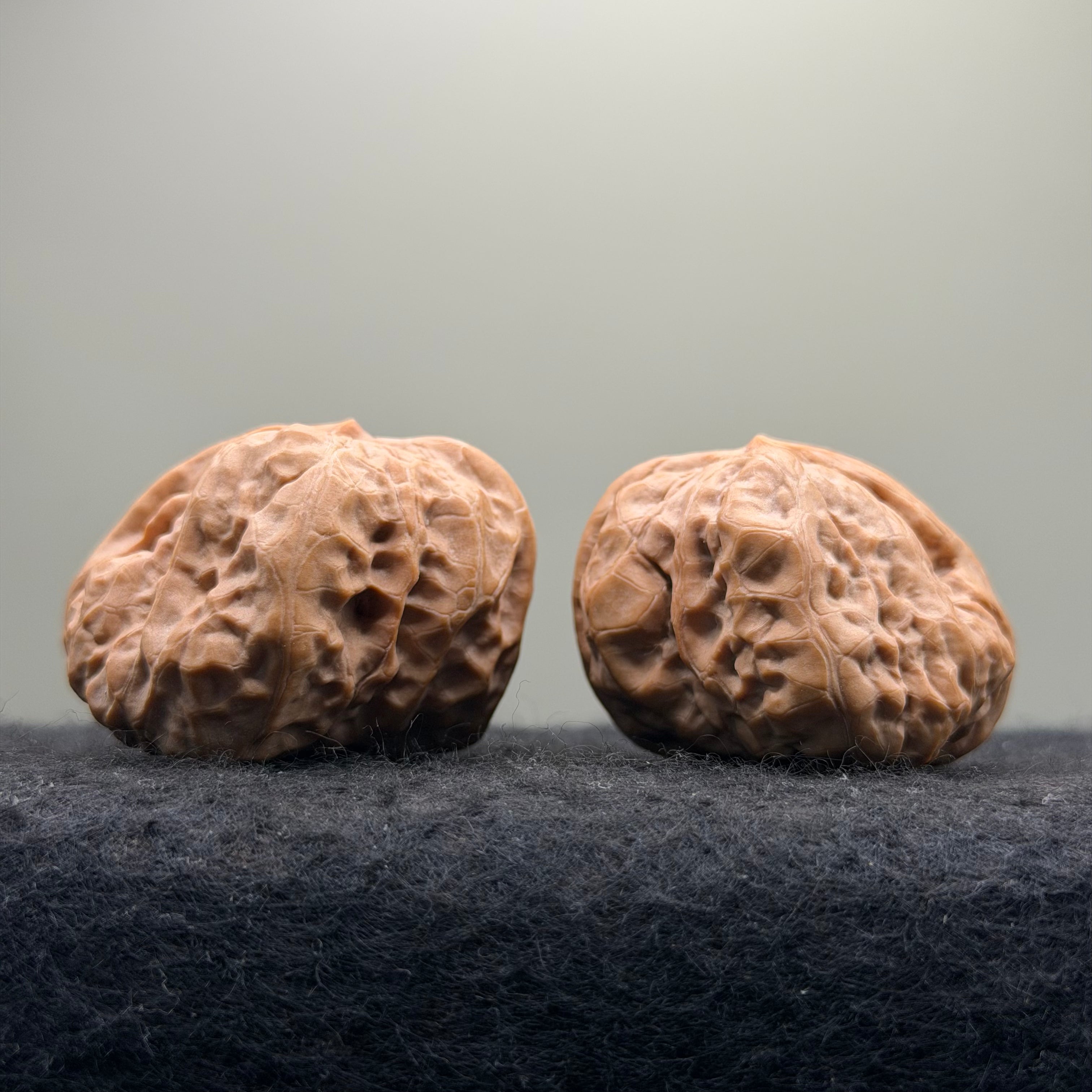 One-Rib Toad Head Wenwan Walnut · 39mm · Select Ritual