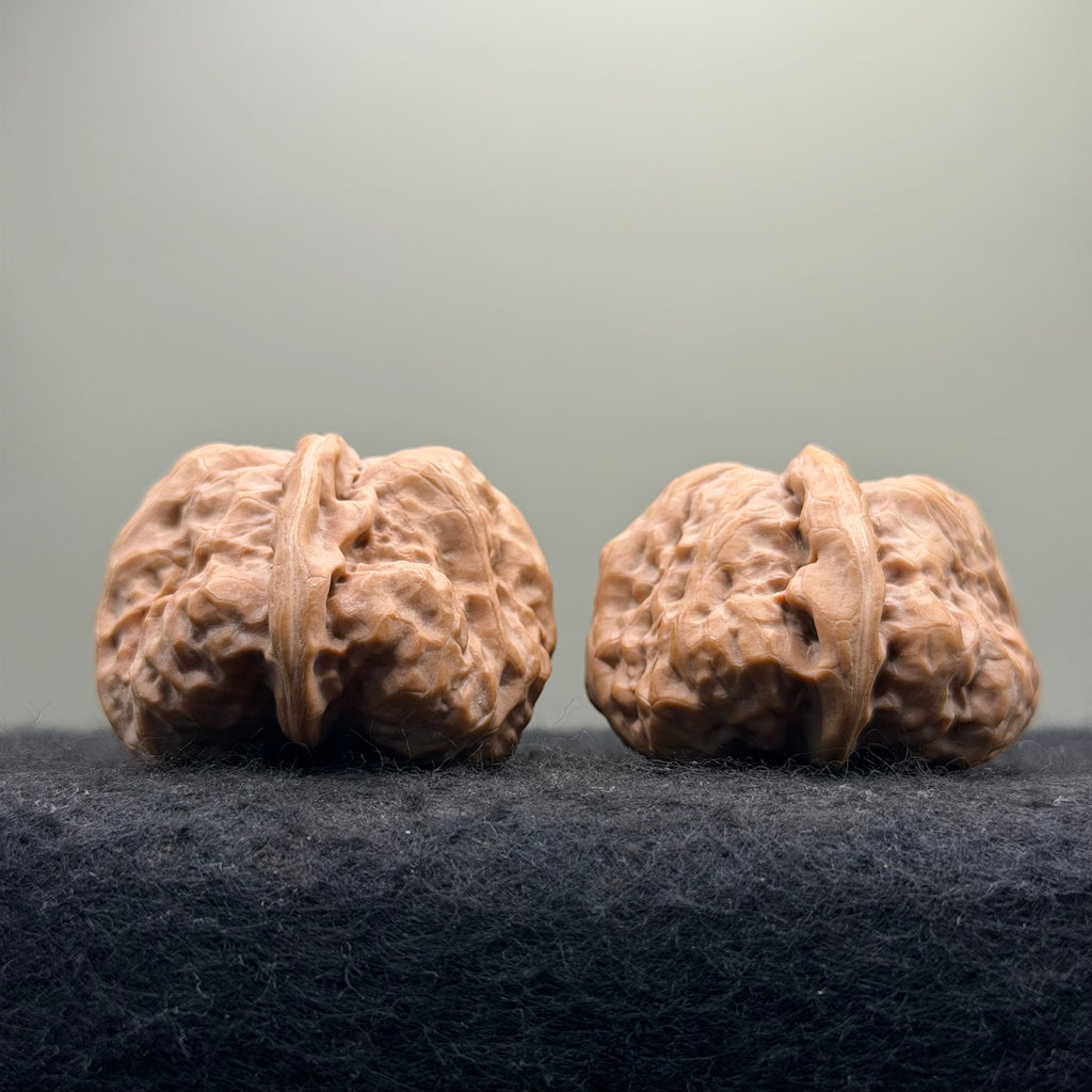 One-Rib Toad Head Wenwan Walnut · 39mm · Select Ritual