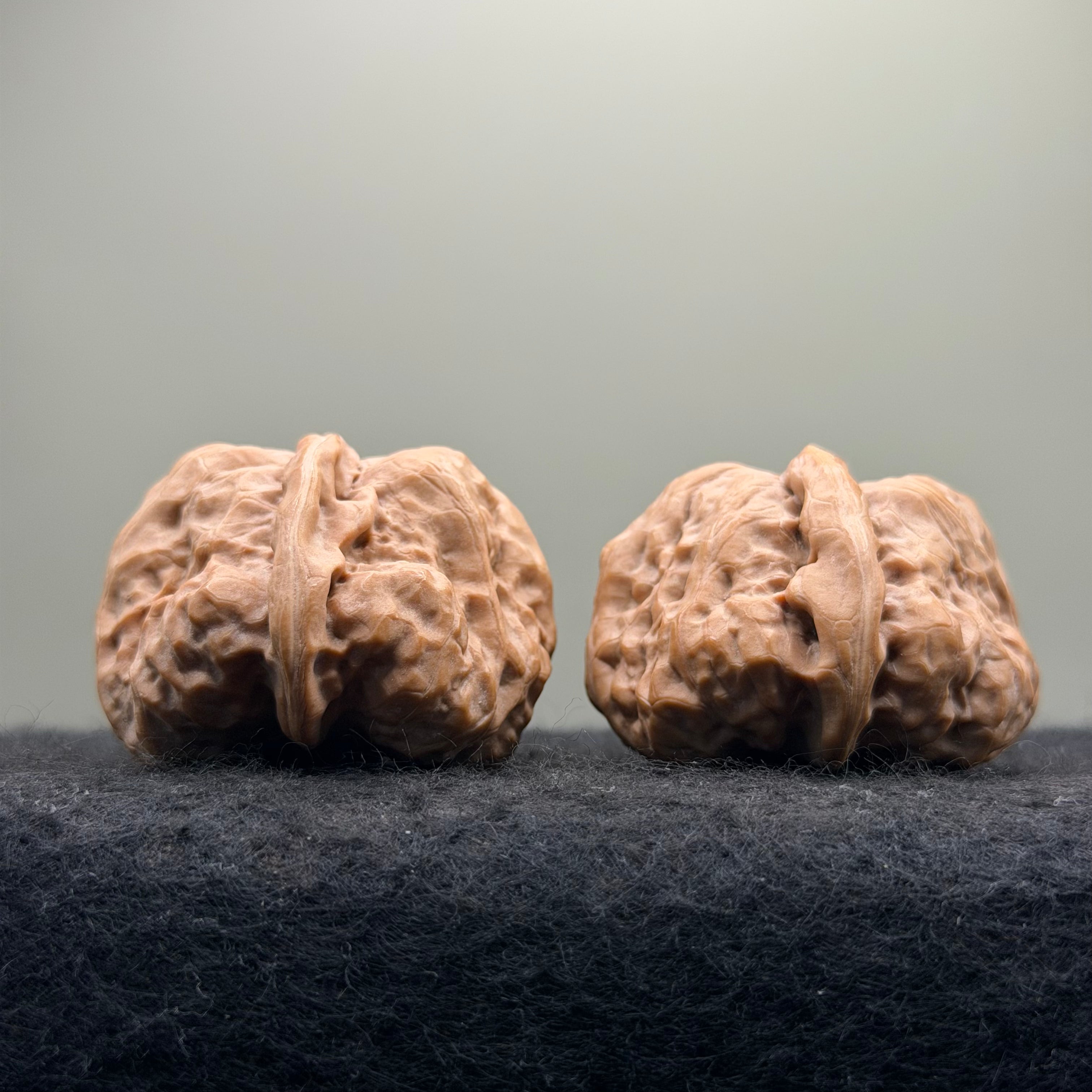 One-Rib Toad Head Wenwan Walnut · 39mm · Select Ritual