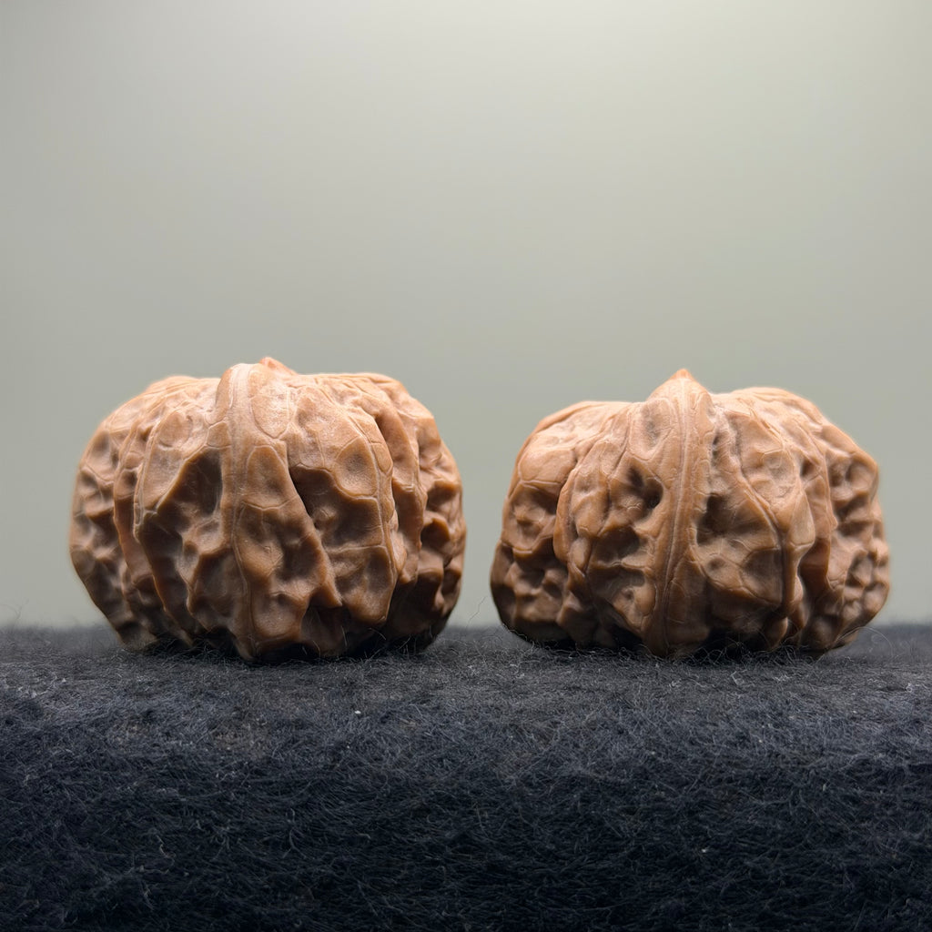 One-Rib Toad Head Wenwan Walnut · 39mm · Select Ritual