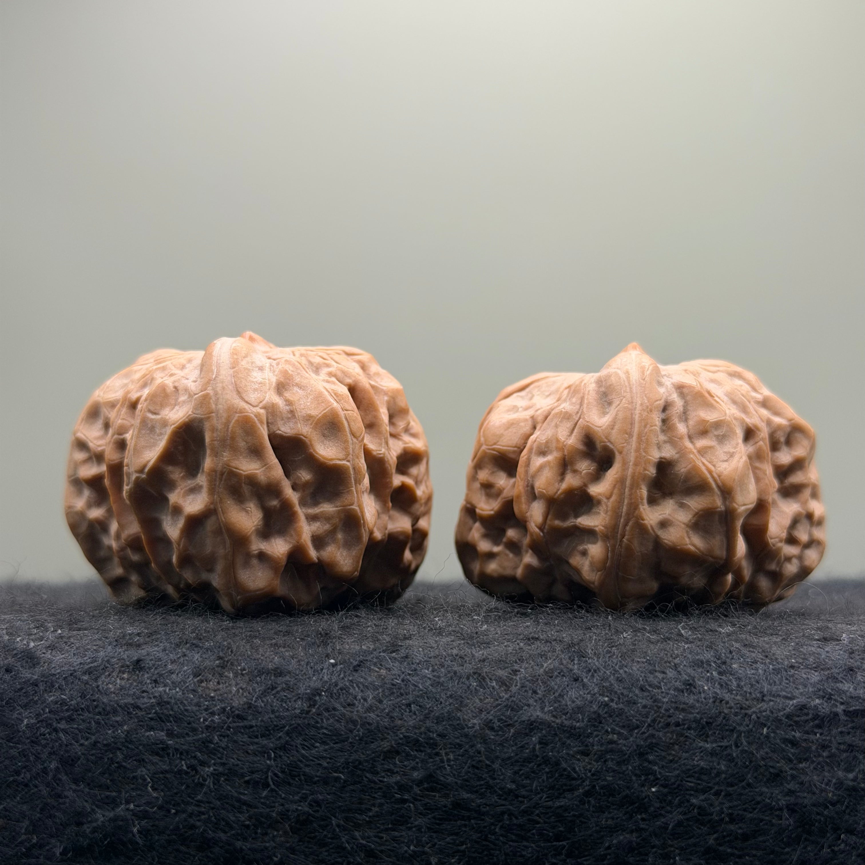One-Rib Toad Head Wenwan Walnut · 39mm · Select Ritual