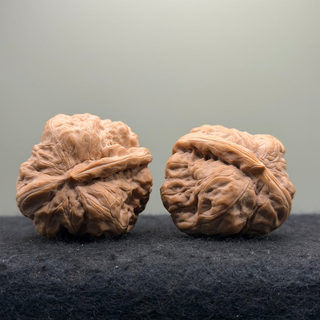 One-Rib Toad Head Wenwan Walnut · 39mm · Select Ritual