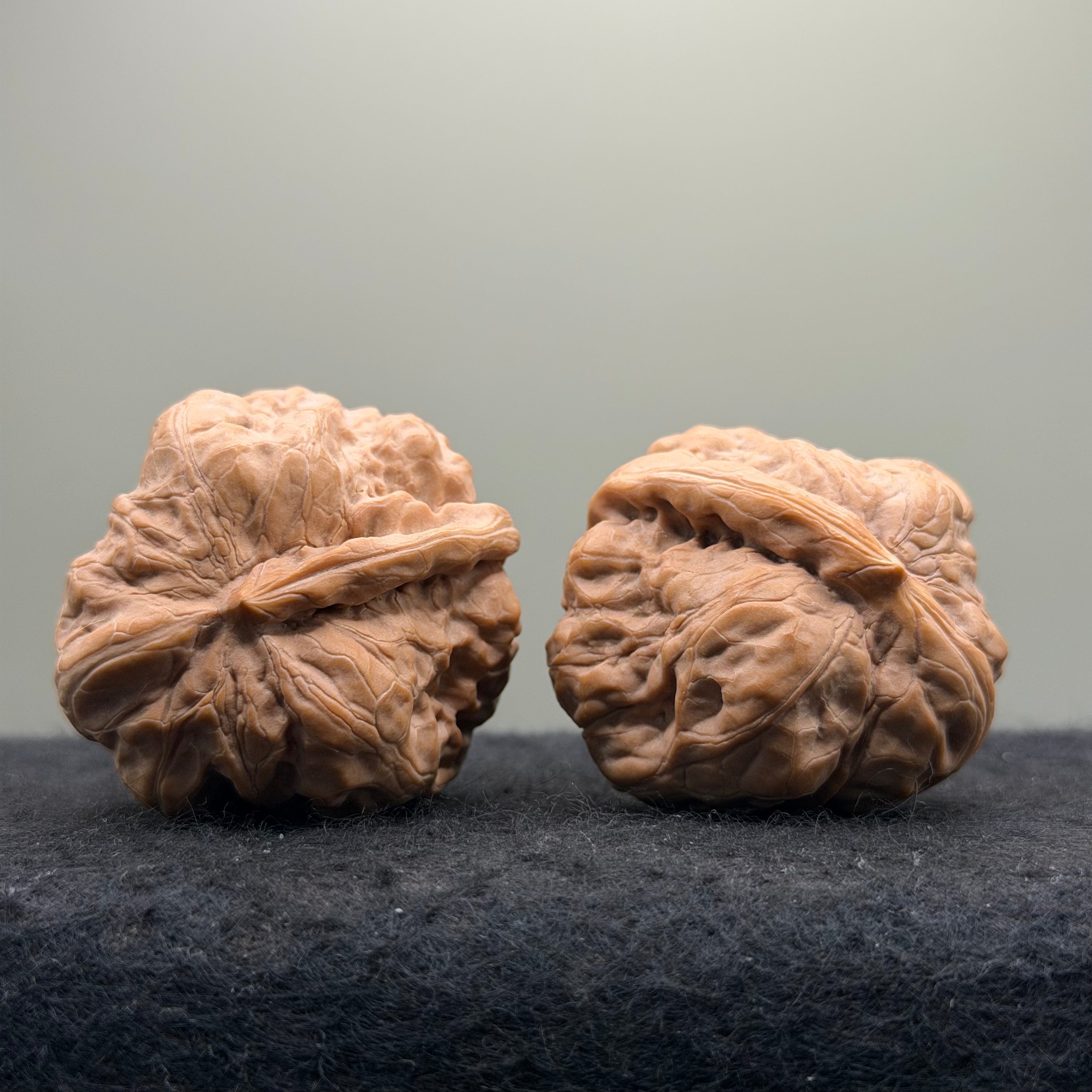 One-Rib Toad Head Wenwan Walnut · 39mm · Select Ritual