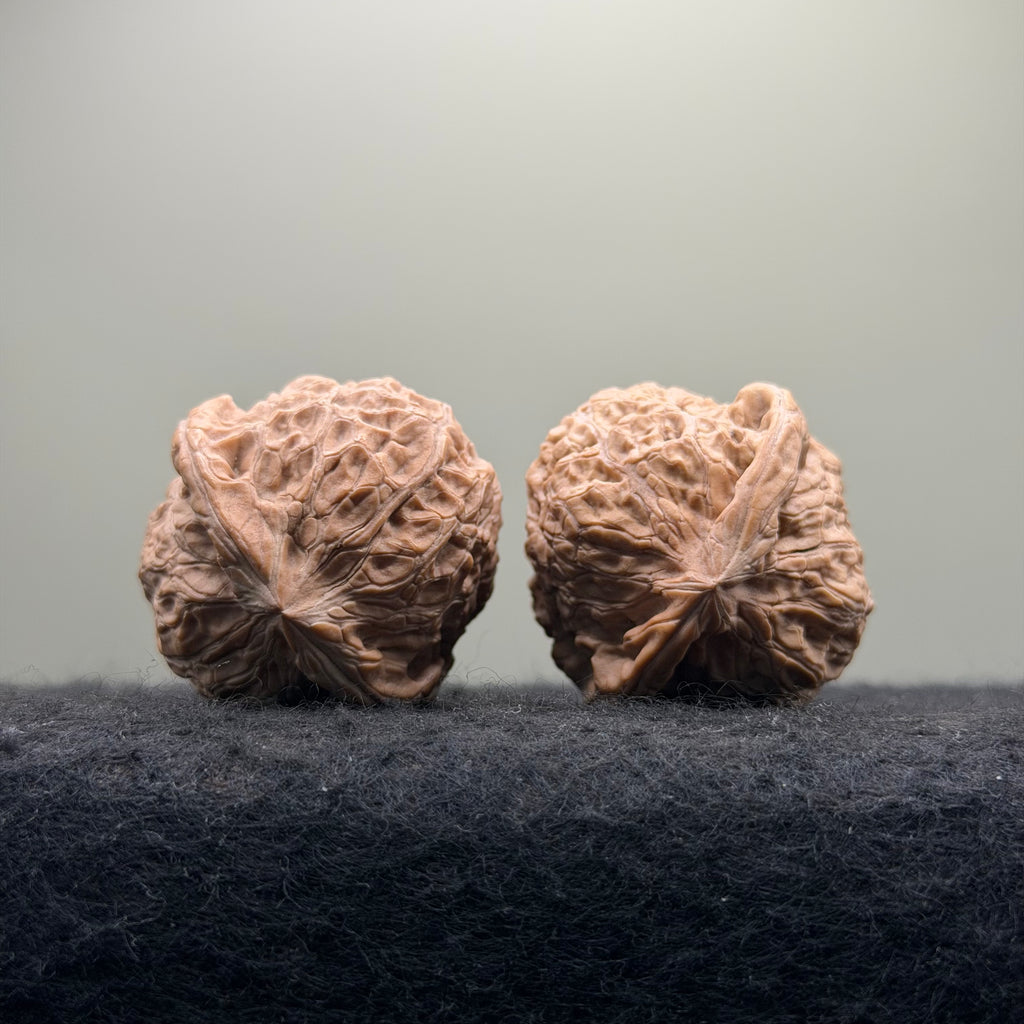 Pumpkin Wenwan Walnut · 37mm · Natural · Entry Ritual