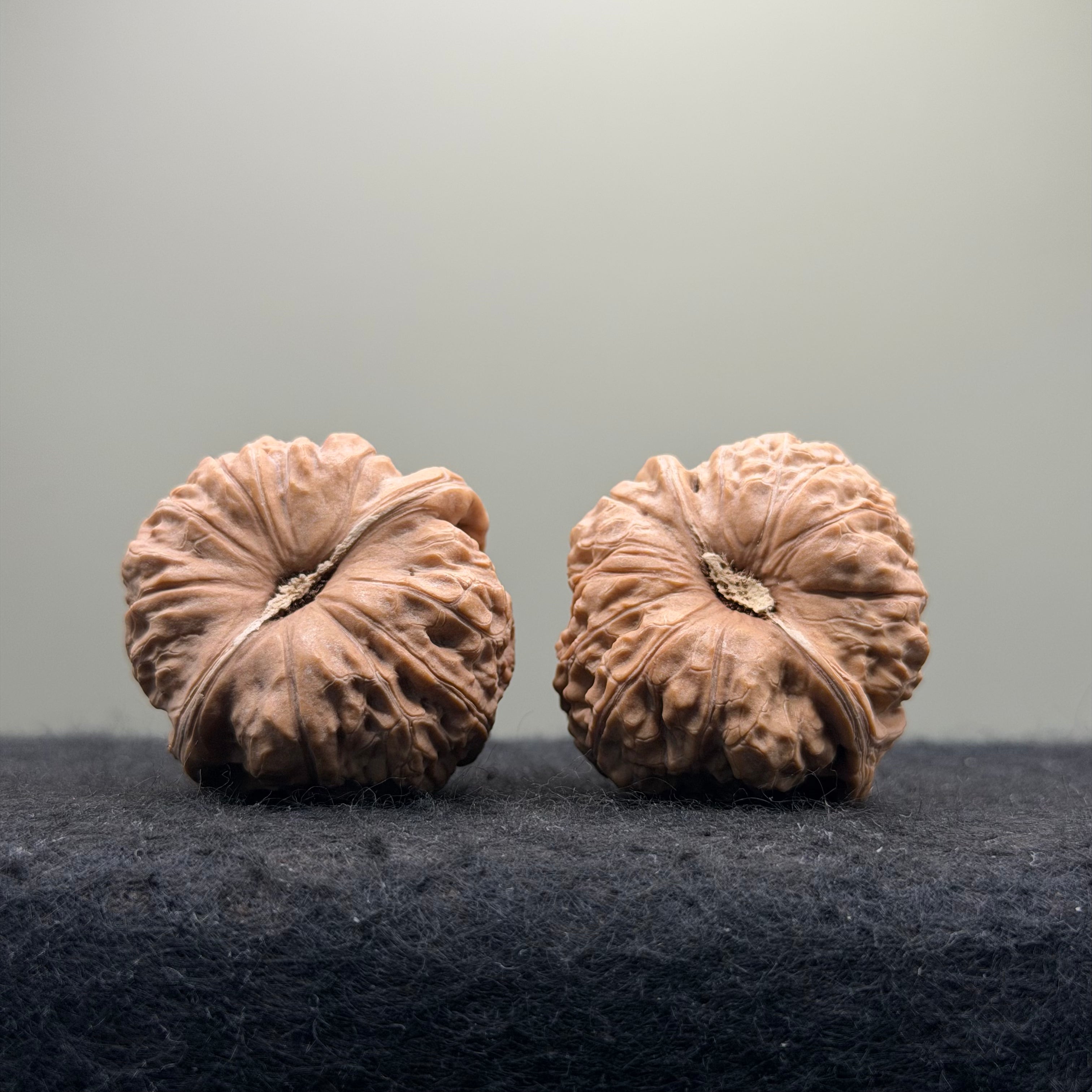 Pumpkin Wenwan Walnut · 37mm · Natural · Entry Ritual
