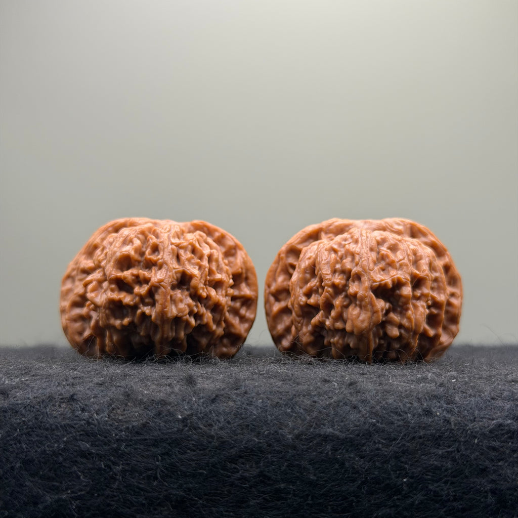 'Dwarf' Wenwan Walnut · 39mm ·Premium Ritual