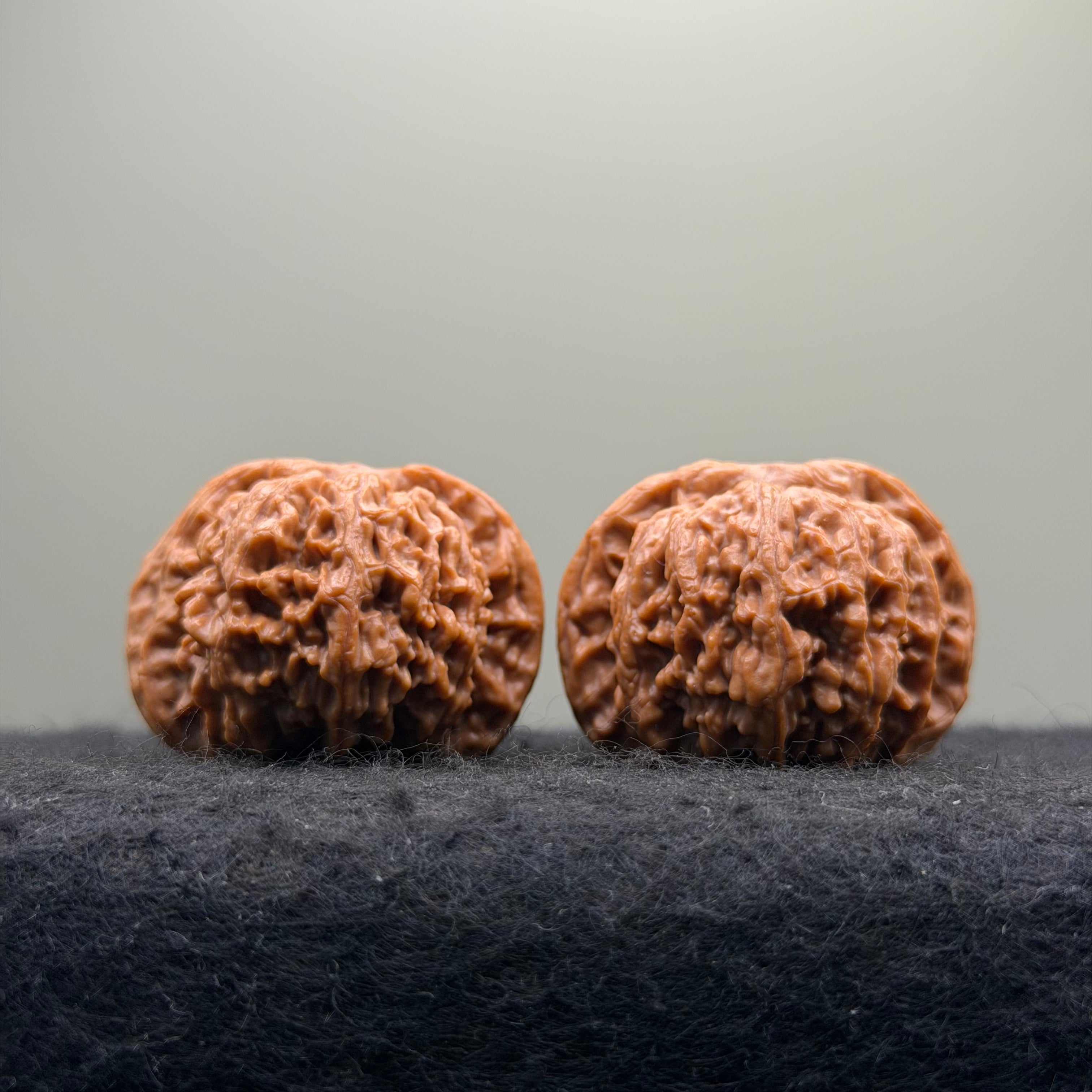 'Dwarf' Wenwan Walnut · 39mm ·Premium Ritual