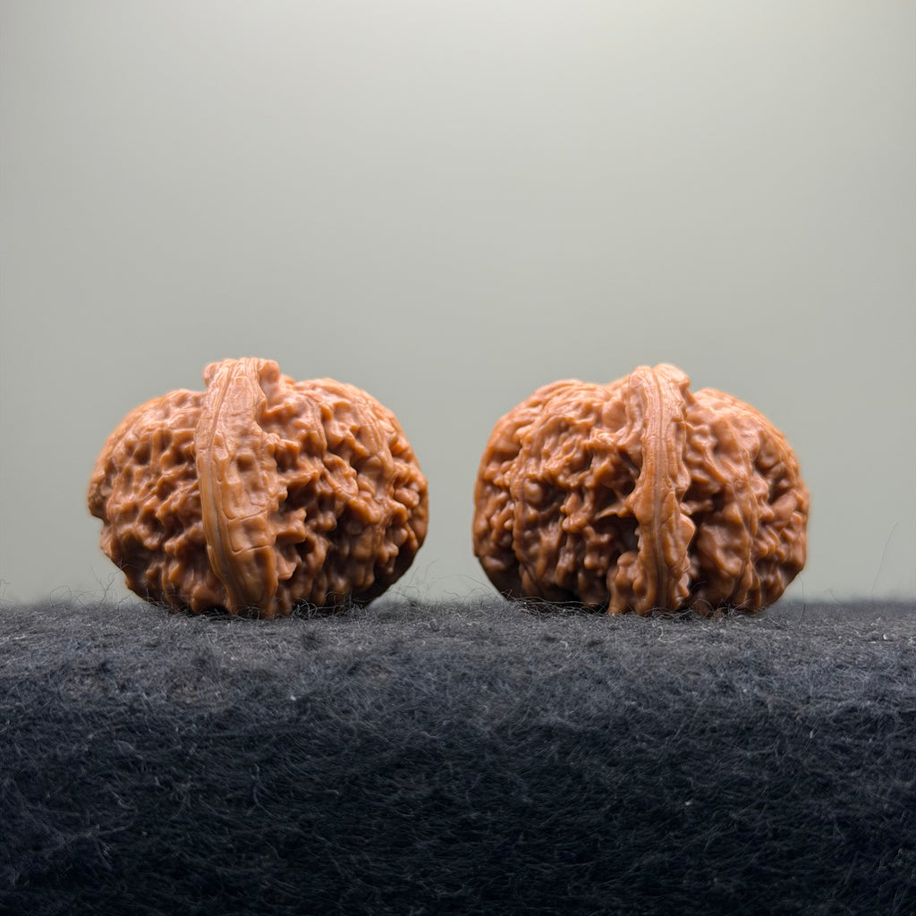 'Dwarf' Wenwan Walnut · 39mm ·Premium Ritual