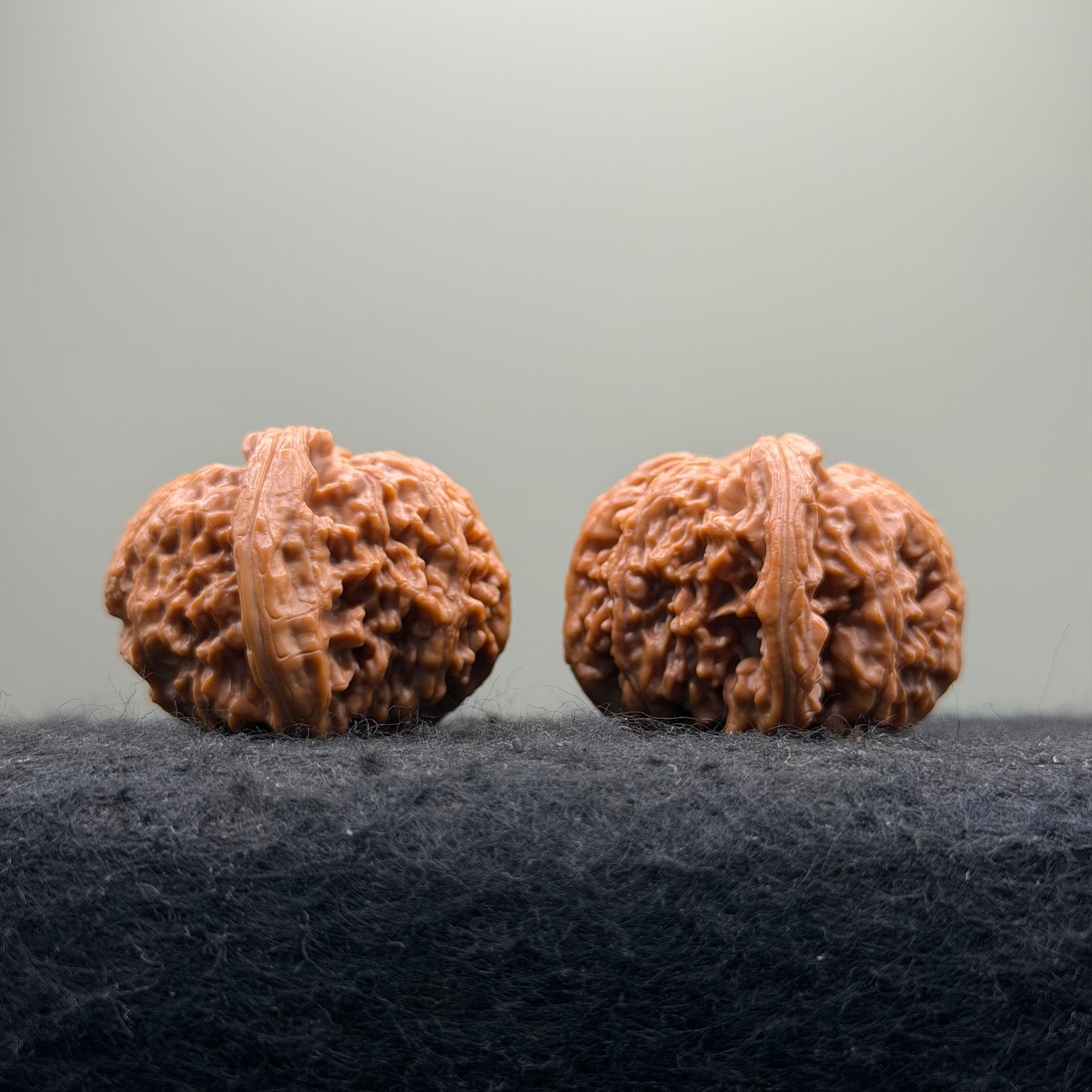'Dwarf' Wenwan Walnut · 39mm ·Premium Ritual