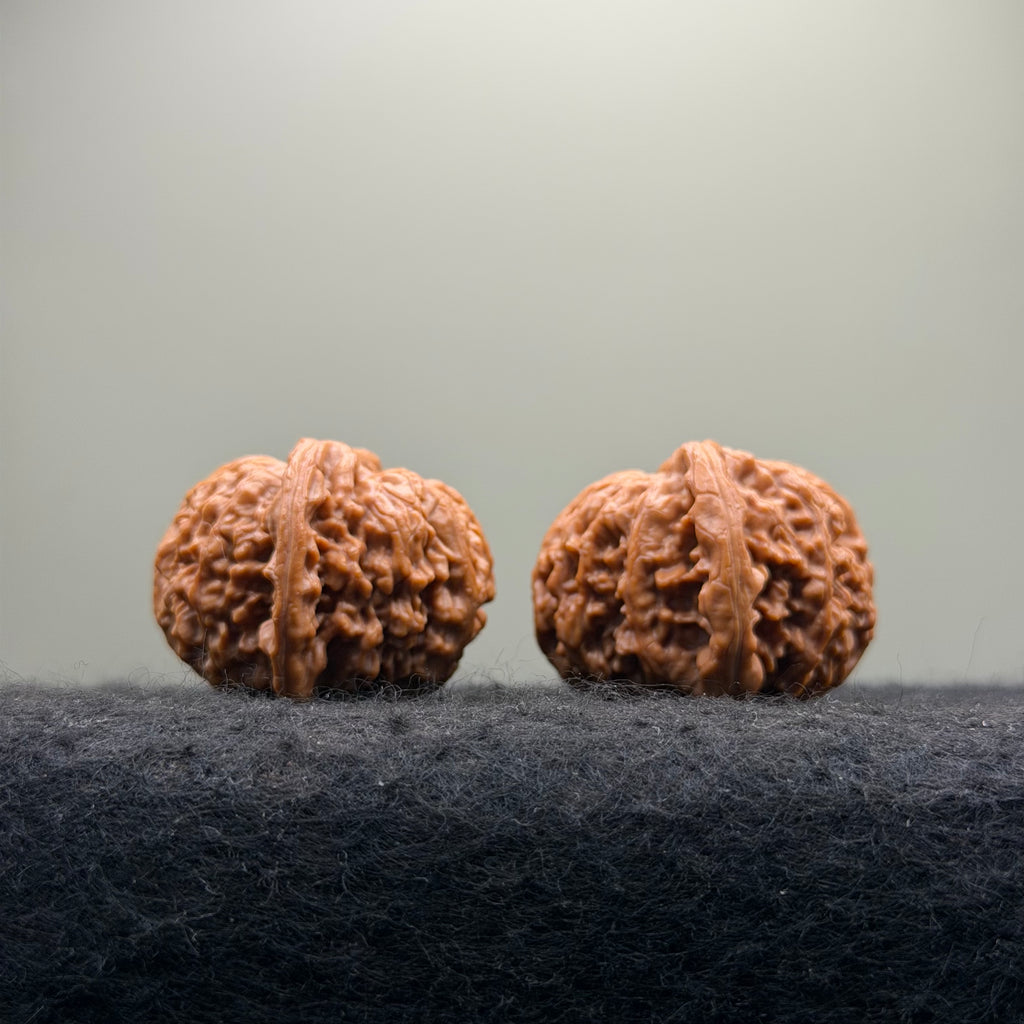 'Dwarf' Wenwan Walnut · 39mm ·Premium Ritual