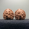 Linglong Wenwan Walnut · 39mm · Natural · Select Ritual