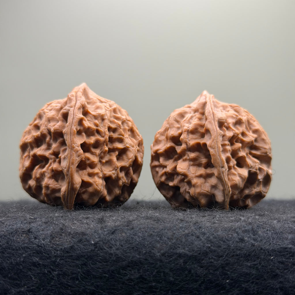 Linglong Wenwan Walnut · 39mm · Natural · Select Ritual
