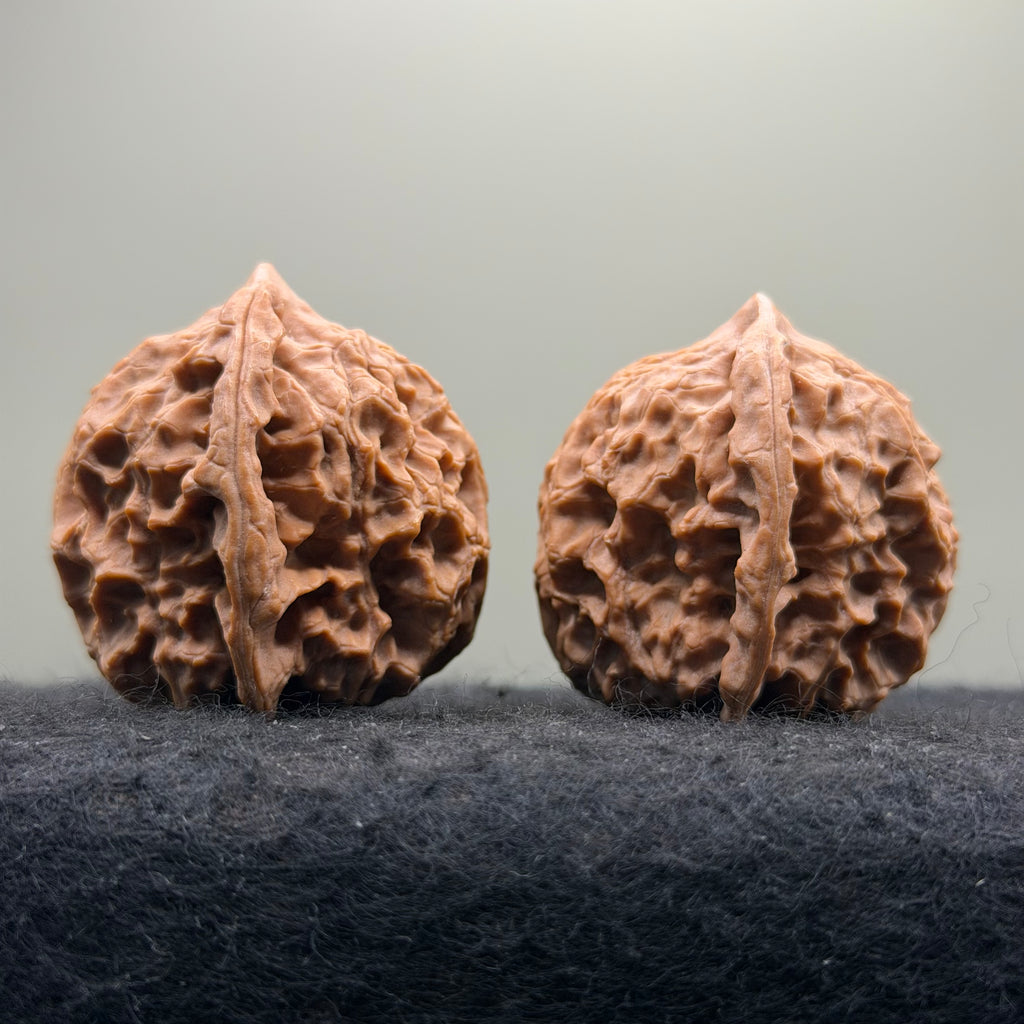 Linglong Wenwan Walnut · 39mm · Natural · Select Ritual