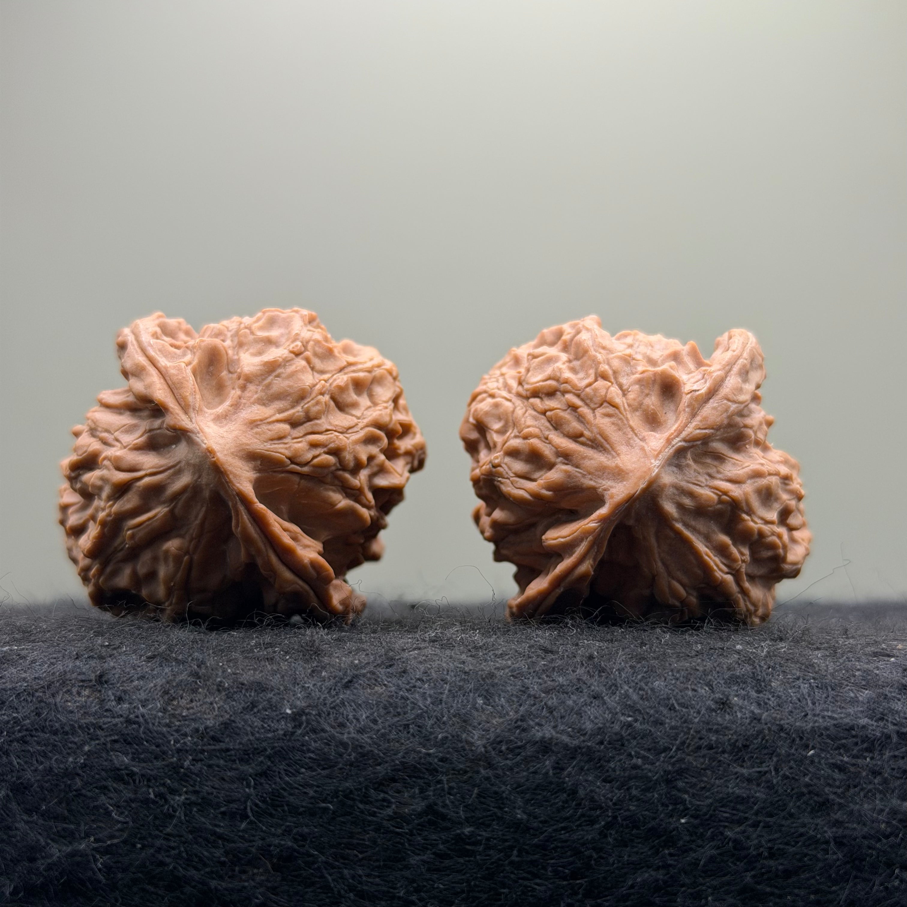 Linglong Wenwan Walnut · 39mm · Natural · Select Ritual