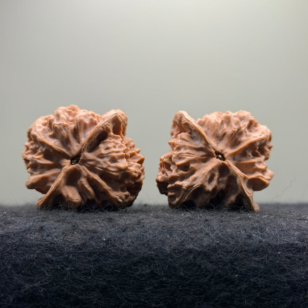 Linglong Wenwan Walnut · 39mm · Natural · Select Ritual